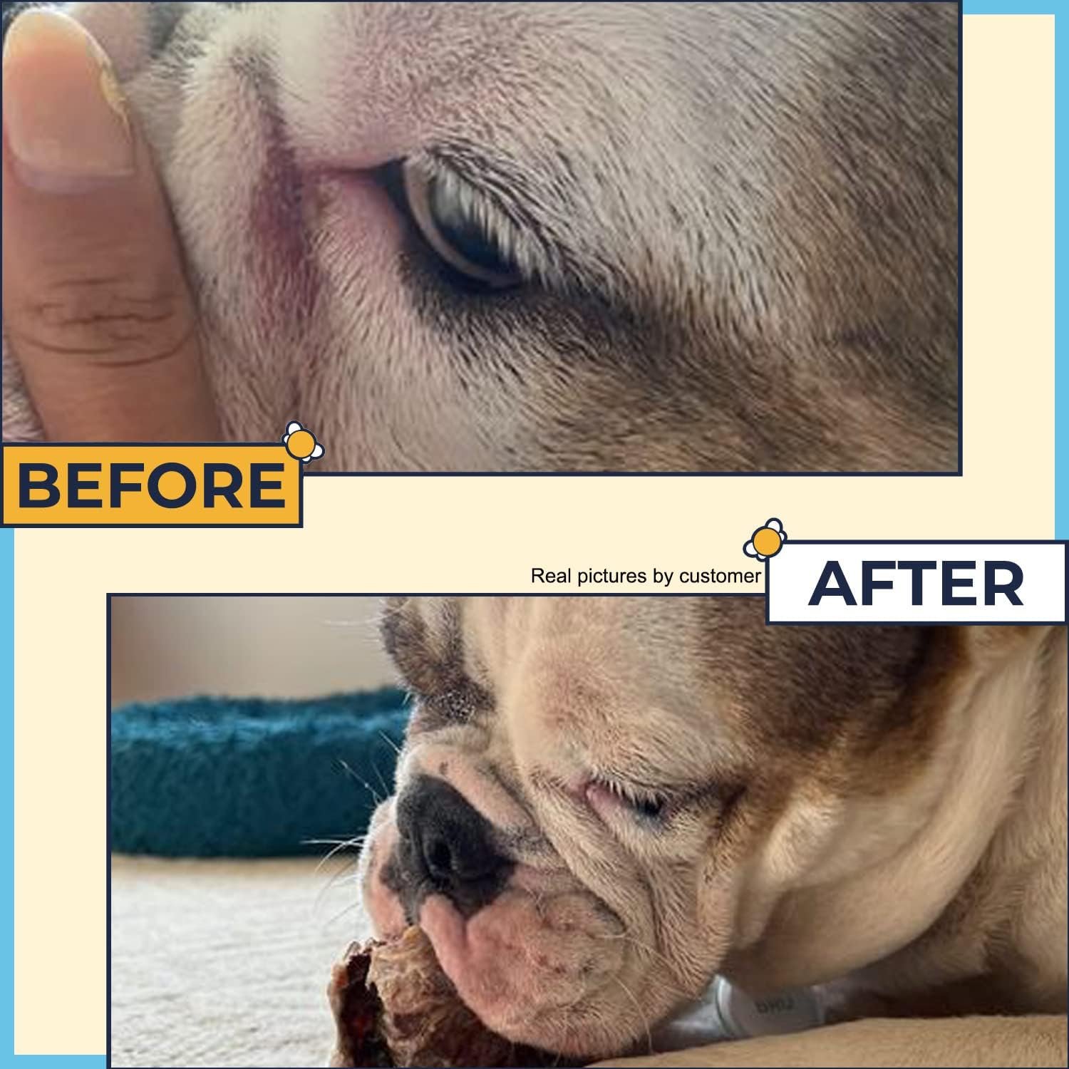 Wrinkle Paste for Bulldog (2 oz)+Wrinkle Wipes (50 Wipes)Wrinkle Cream for French Bulldog, English Bulldog, Pug & Frenchie-Dog Rash Cream for Clean & Healthy Skin. Made In USA-Bulldog Wrinkle Cleaning - Image 3