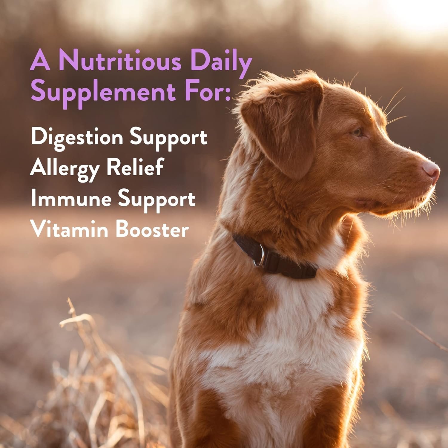 Green Gruff Detox Immunity Dog Probiotics for Digestive Health - Dog Allergy Relief & Immune Support for Dogs - Organic Dog Immune Supplement with Protein, Multivitamin & Omega 3 Fish Oil - 24 Chews - Image 4