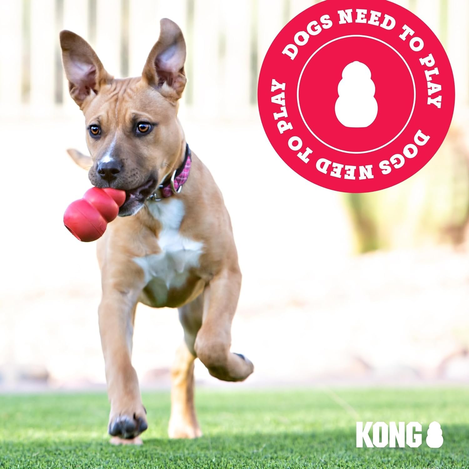 KONG Classic Toy & Ziggies Treats Combo Pack - Durable Chew Toy for Dogs - with Ziggies Chicken-Flavored Treats - Dog Accessories for Fun & Health - for Large Dogs - Image 8