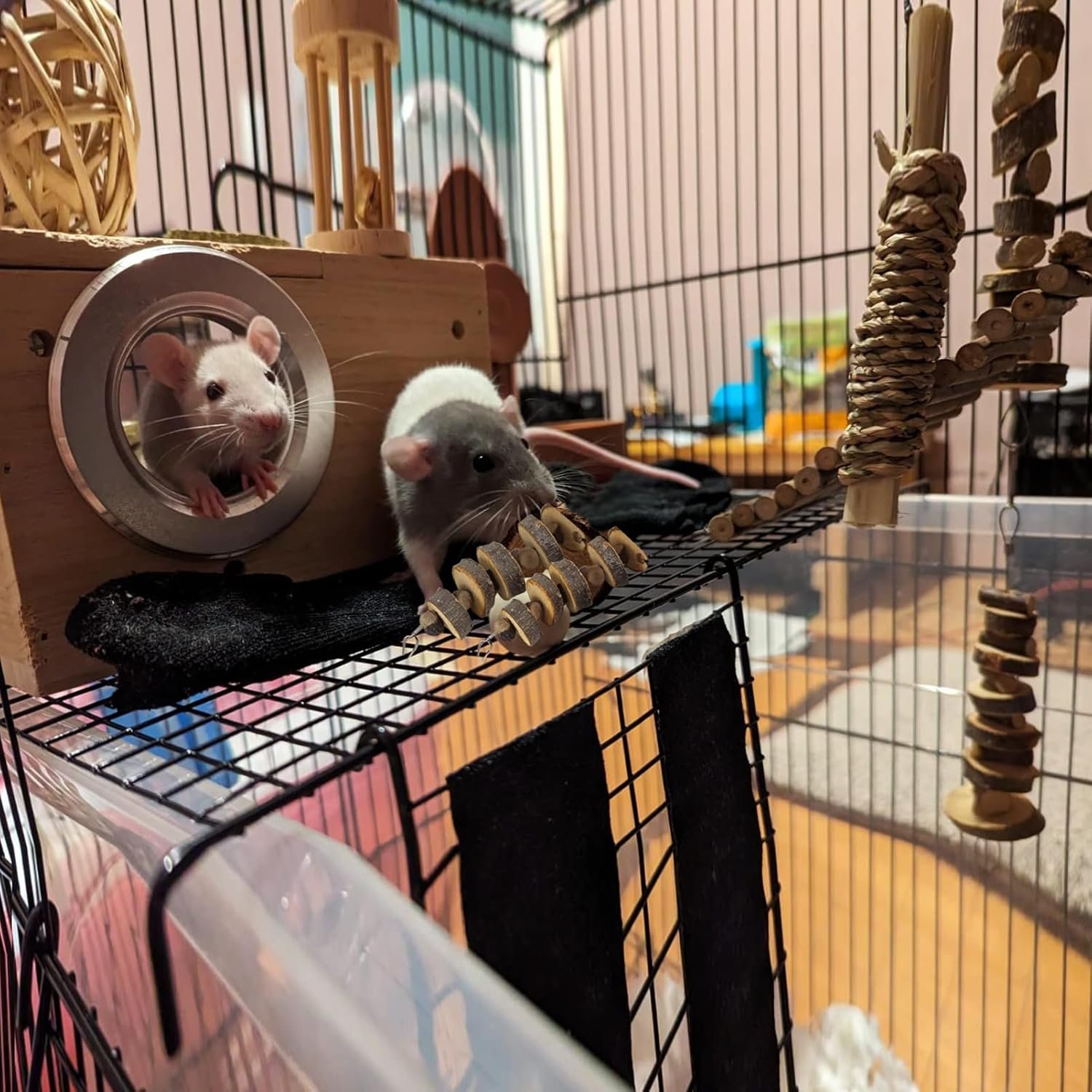 LWINGFLYER 2pcs Hamster Chew Toys Hanging Apple Wood Hamster Chew Toys for Hamsters Teeth Natural Apple Wood Cage Snack for Hamsters Rabbits Bunny Bird Parrots Chinchilla Guinea Pig Gerbils Squirrels - Image 5