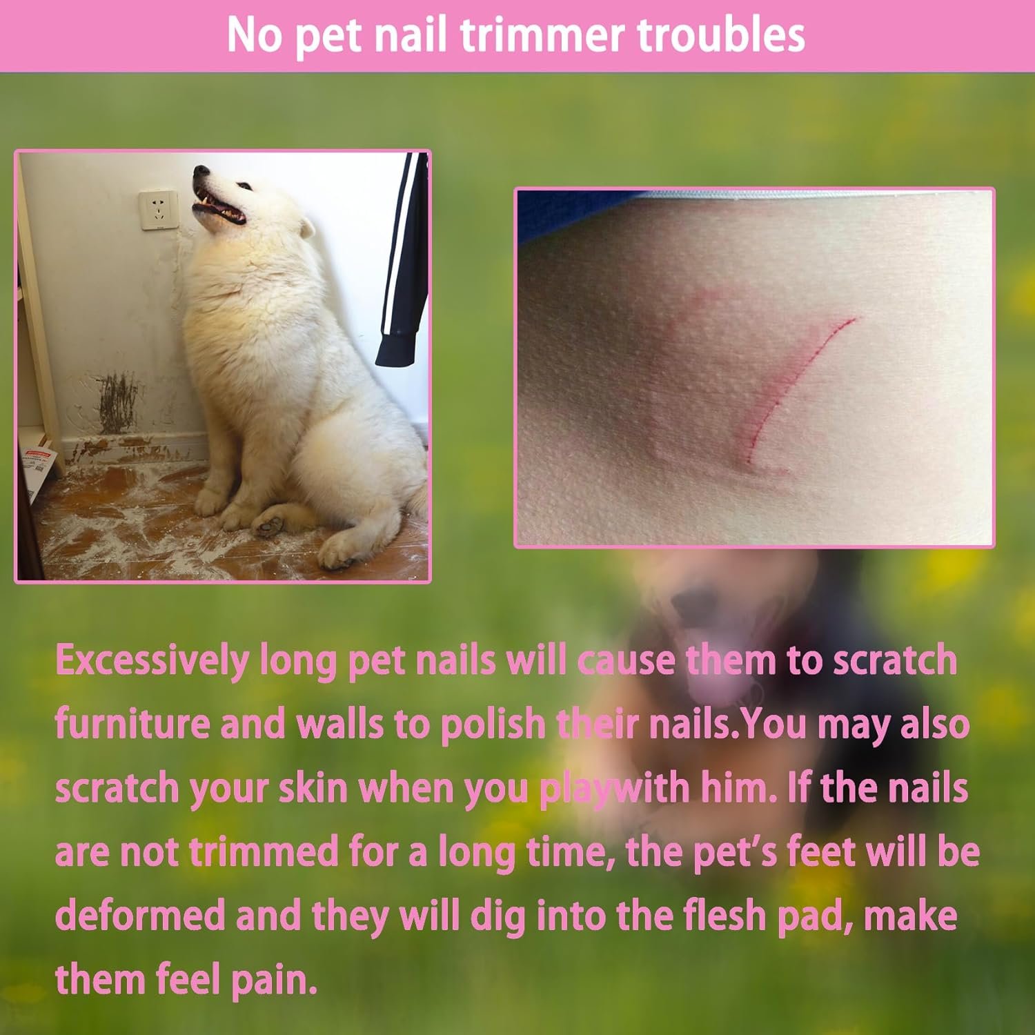 5Pcs Dogs and Cats Grooming Nail Clippers Kit Pet Claws Nail Clipper Trimmers, with Protective Guard Lock to Avoid Over Cutting, Professional Trimmers for Large and Small Cat and Dog Animal. (Pink) - Image 7