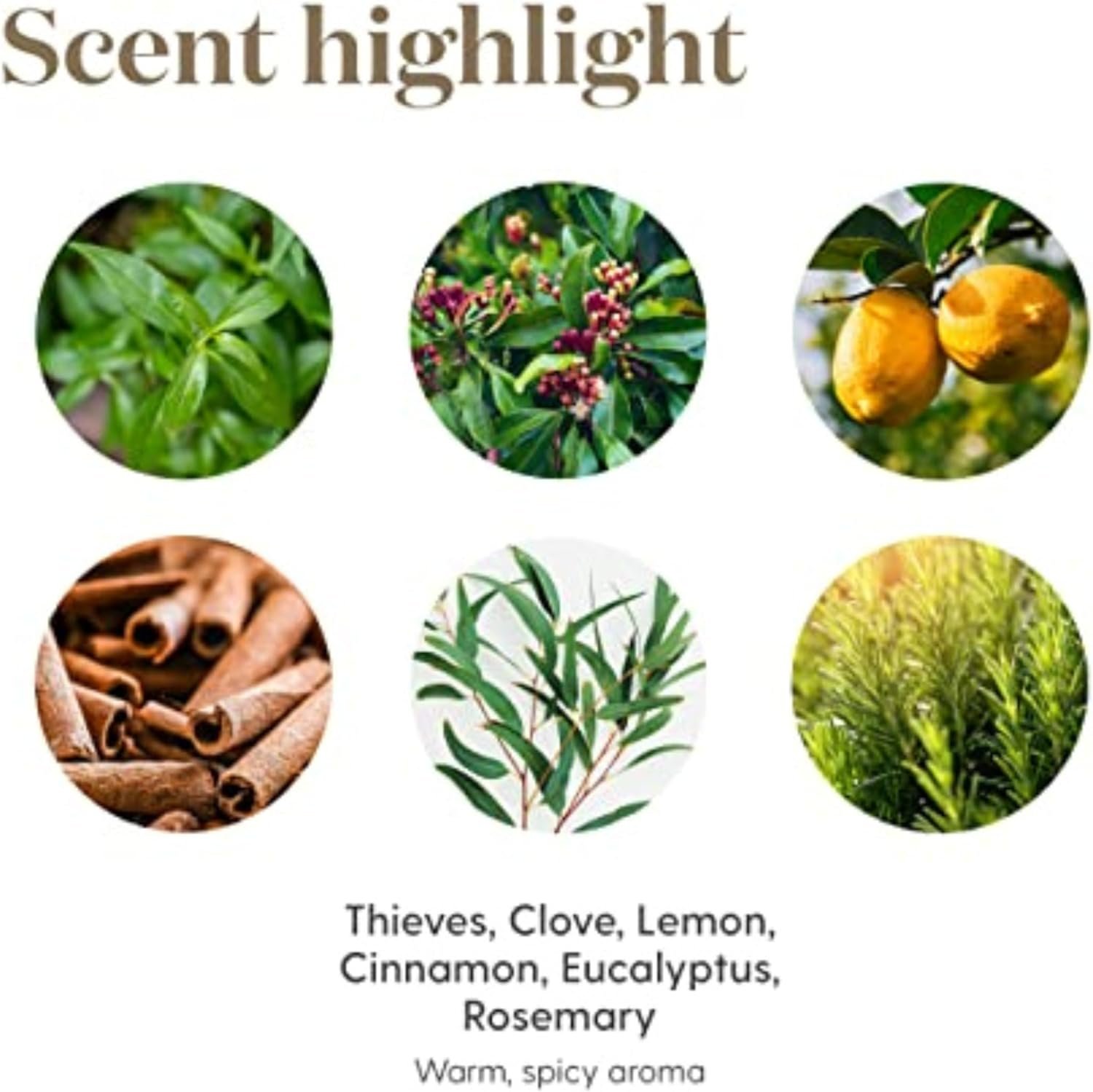 Thieves Household Cleaner 14.4 oz | Plant-Based All-Purpose Cleaner with Essential Oils | Safe for Floors, Mirrors, Carpets & Pet Areas - Image 6