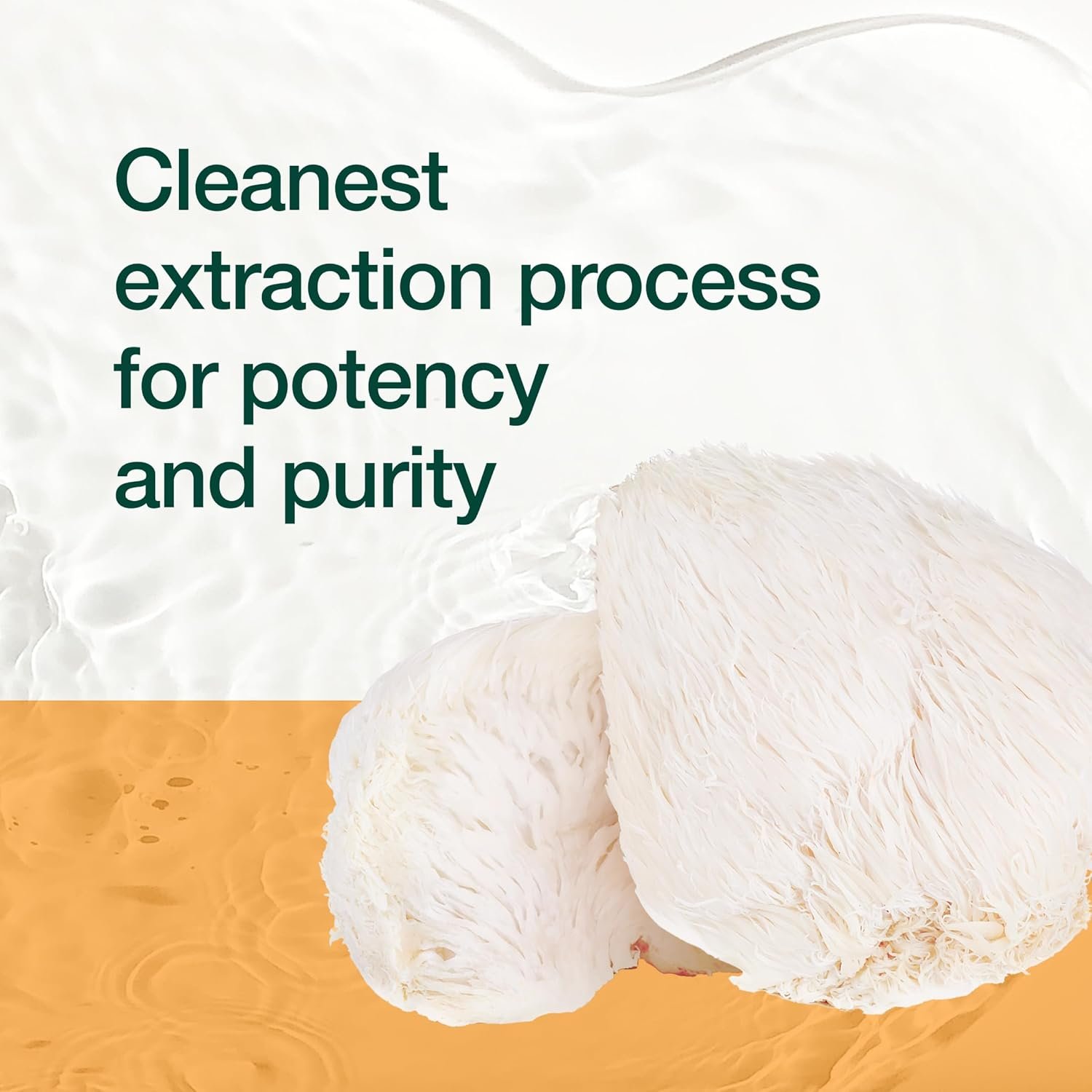 Fresh Nutrition Organic Lions Mane Mushroom Capsules - Strongest DNA Verified Formula - Rich in Alpha Glucan - Powerful Superfood Supplement - Brain, Immune System Benefits - Vegan Friendly - Image 7