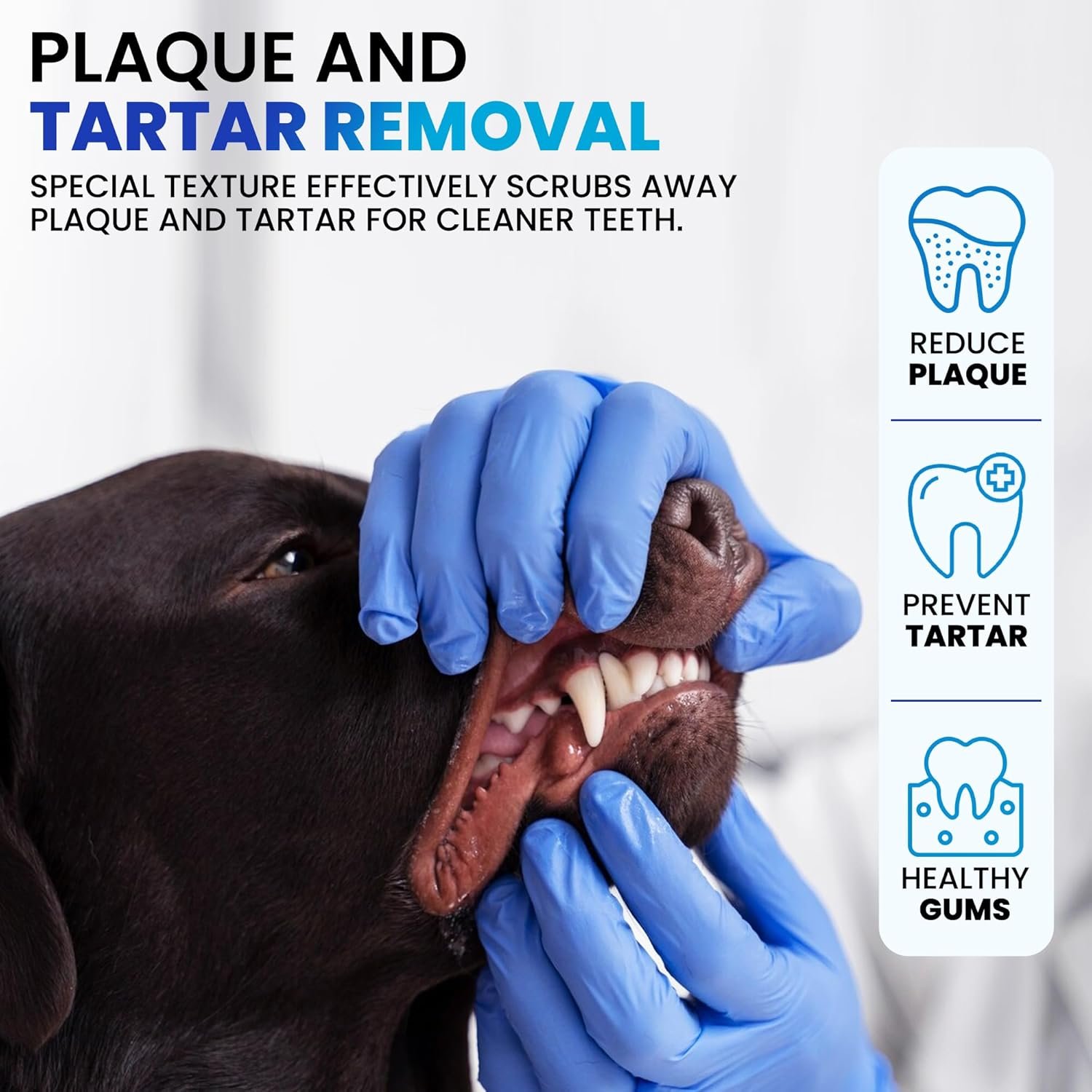 Rad Health Inc Fresh Breath No Brushing Clean Teeth Dental & Oral Care Dental Wipes for Dogs, 100ct - Teeth Cleaning Wipes - Helps Wipe Away Plaque & Tartar - Freshens Breath - No Brushing Required - Image 6