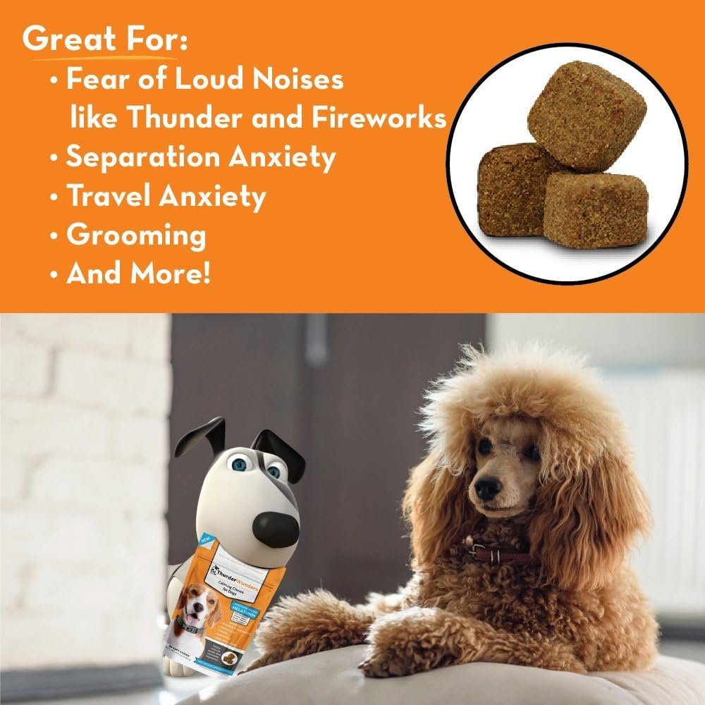 ThunderWunders Dog Calming Chews | Thiamine, L-Tryptophan, Melatonin and Ginger | Can Help Relieve Stress from Separation, Storms, Fireworks & Travel (60 Count) - Image 5