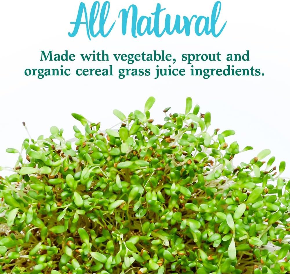 Garden of Life Perfect Food Super Green Formula - 30 Servings | 45 Superfoods, Greens, Fruit & Veggie Juice Superfood Powder Supplement, Probiotics & Organic Spirulina for Digestion & Immune Health - Image 8