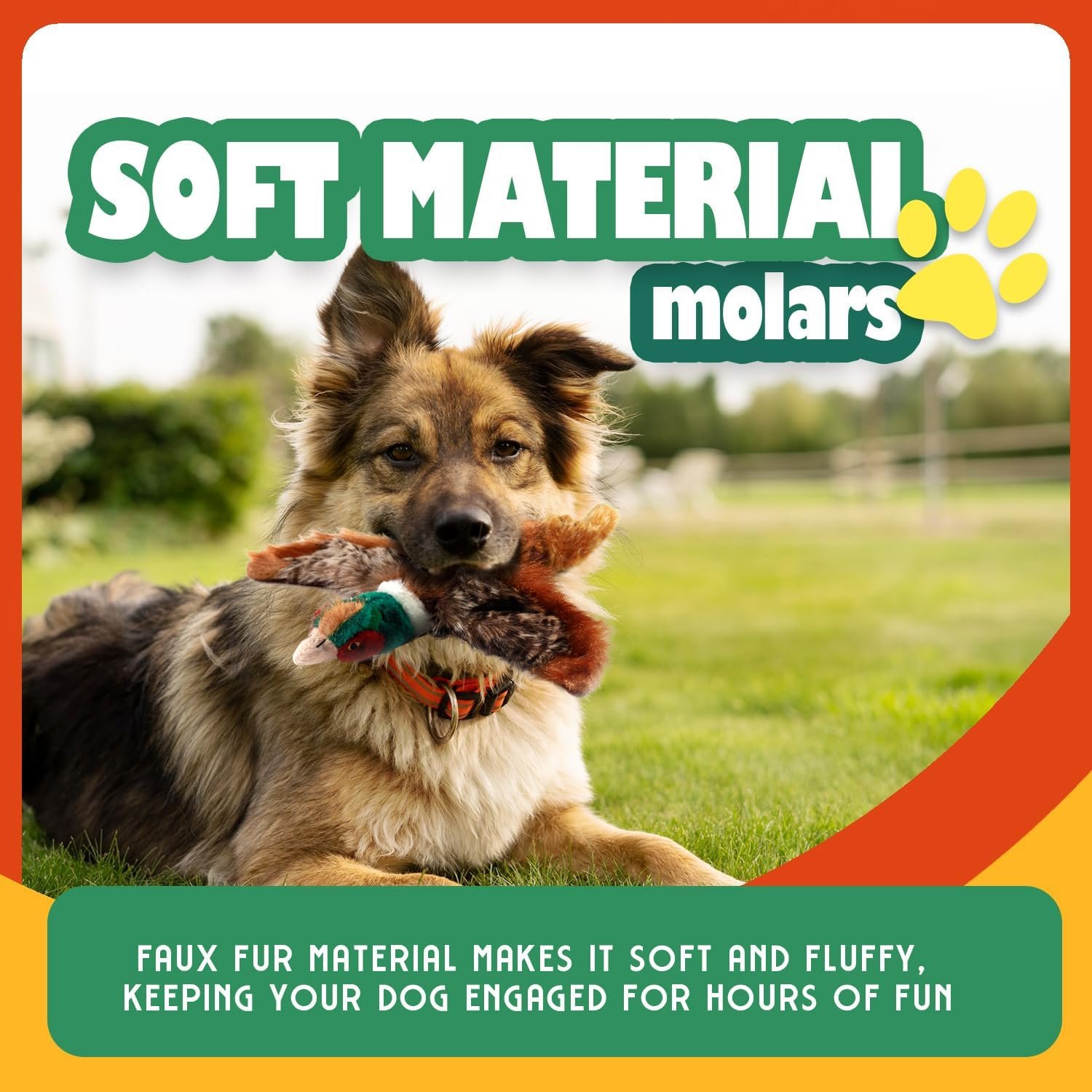 ALL FOR PAWS Classic Pheasant Pet Toys, Small - Image 3