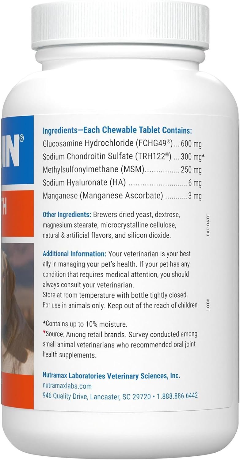 Nutramax Laboratories Cosequin Maximum Strength Joint Health Supplement for Dogs - With Glucosamine, Chondroitin, MSM, and Hyaluronic Acid, 75 Chewable Tablets (Pack of 1) - Image 3