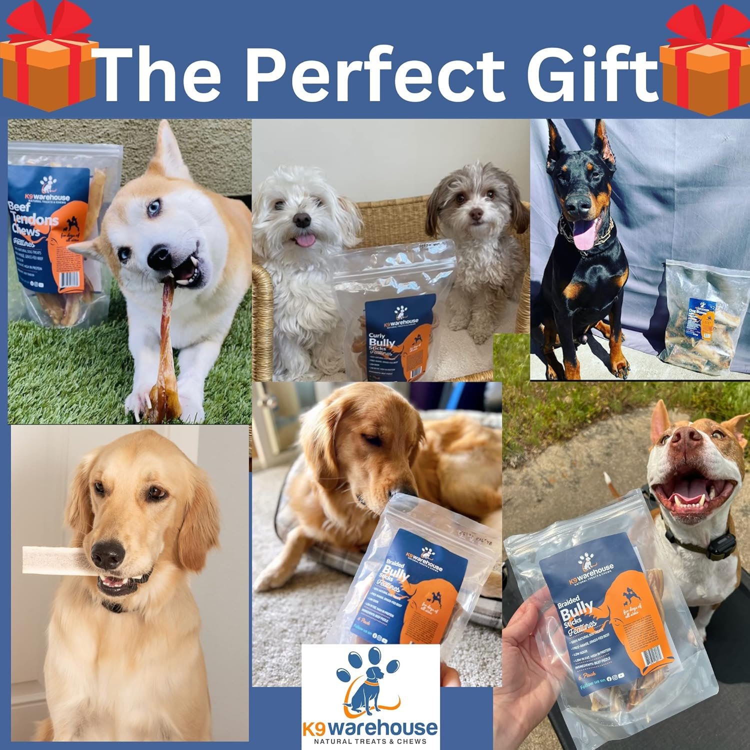 USA Cow Knee Caps for Dogs | 100% Natural Beef Knee Caps for Dogs, Beef Bones for Dogs, Dog Knee Cap Bones for Pets, Meaty Dog Bones Large, Medium and Small Dogs - Image 8