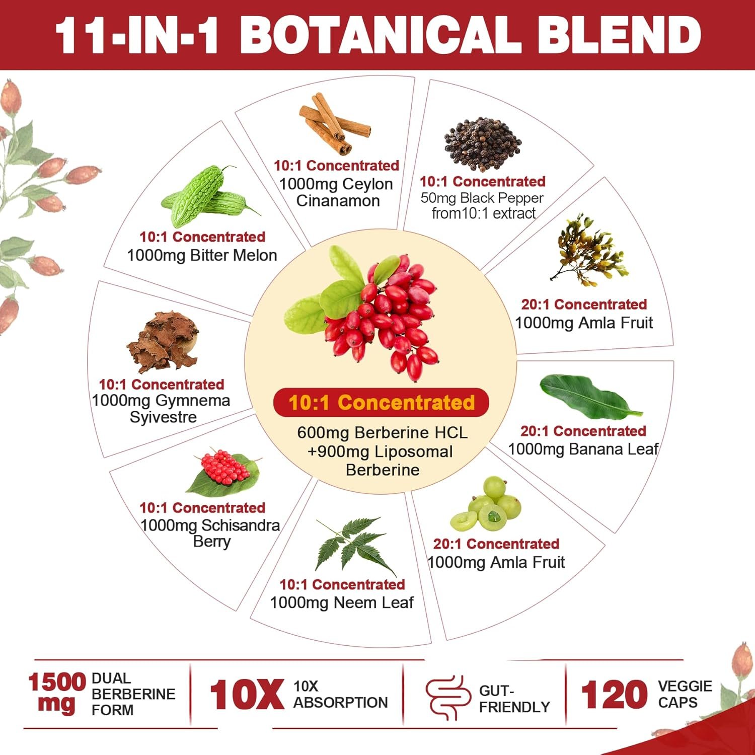 2 Pack 1500mg Liposomal Berberine & Berberine HCL with Ceylon Cinnamon Bitter Melon, Organic Berberine Complex Supplements with Banana Leaf, Supports Immune & Digestion - Vegan Berberine 240 Capsules - Image 4