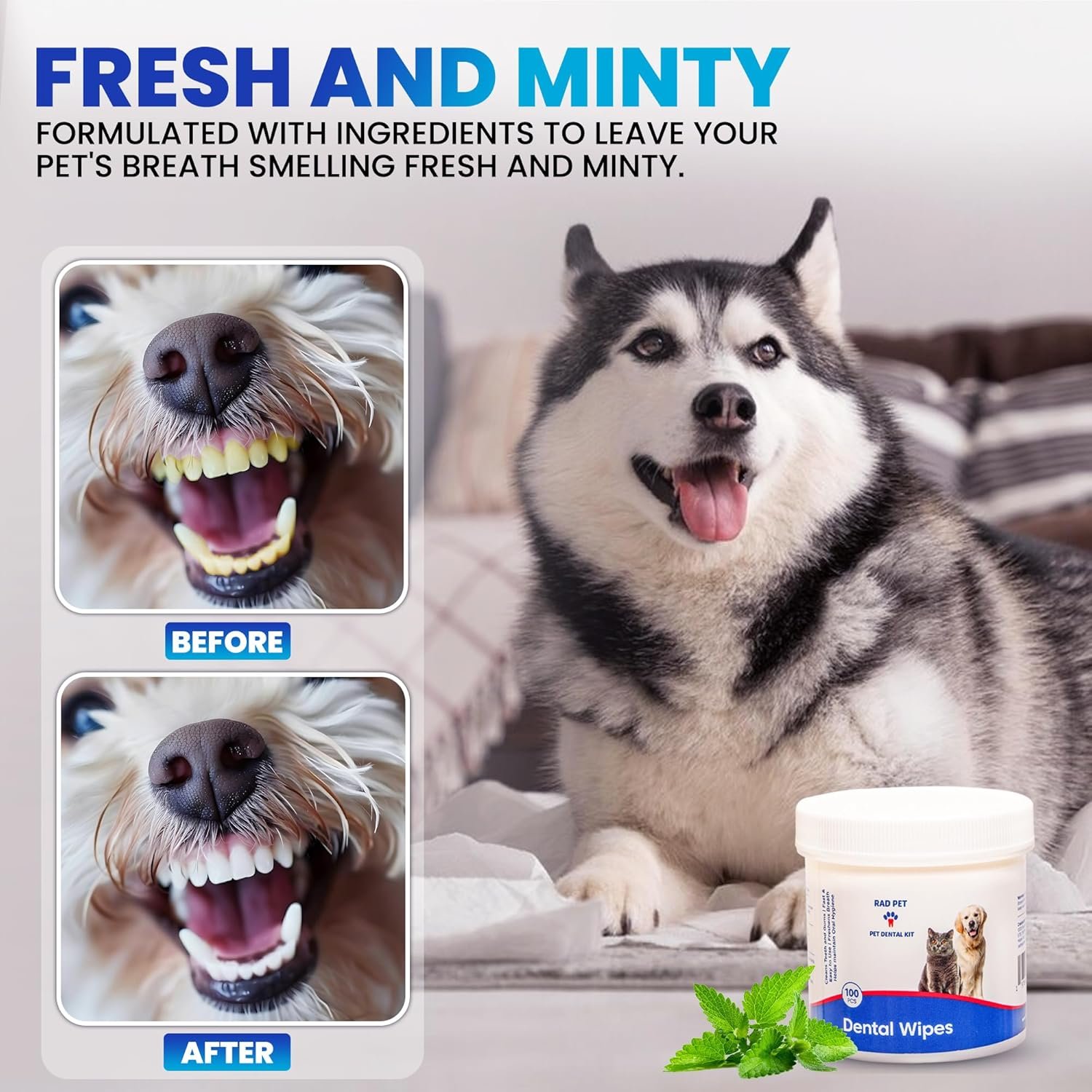 Rad Health Inc Fresh Breath No Brushing Clean Teeth Dental & Oral Care Dental Wipes for Dogs, 100ct - Teeth Cleaning Wipes - Helps Wipe Away Plaque & Tartar - Freshens Breath - No Brushing Required - Image 8
