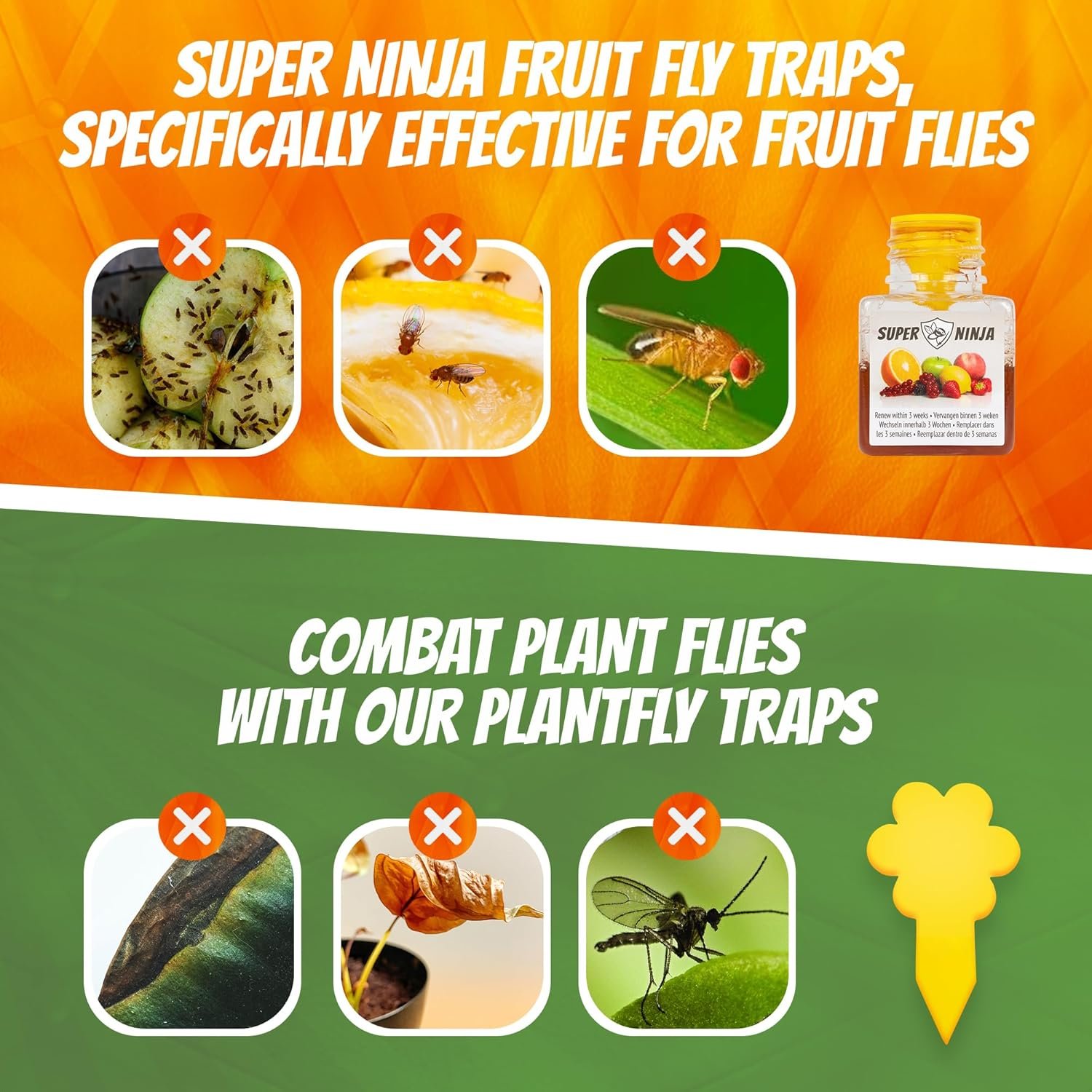 Super Ninja Fruit Fly Traps for Indoors - 4 Traps - Highly Effective Eco-Friendly Fruit Fly Catcher for Indoors - Pet and Child Safe - Up to 3 Weeks per Bottle - Image 7