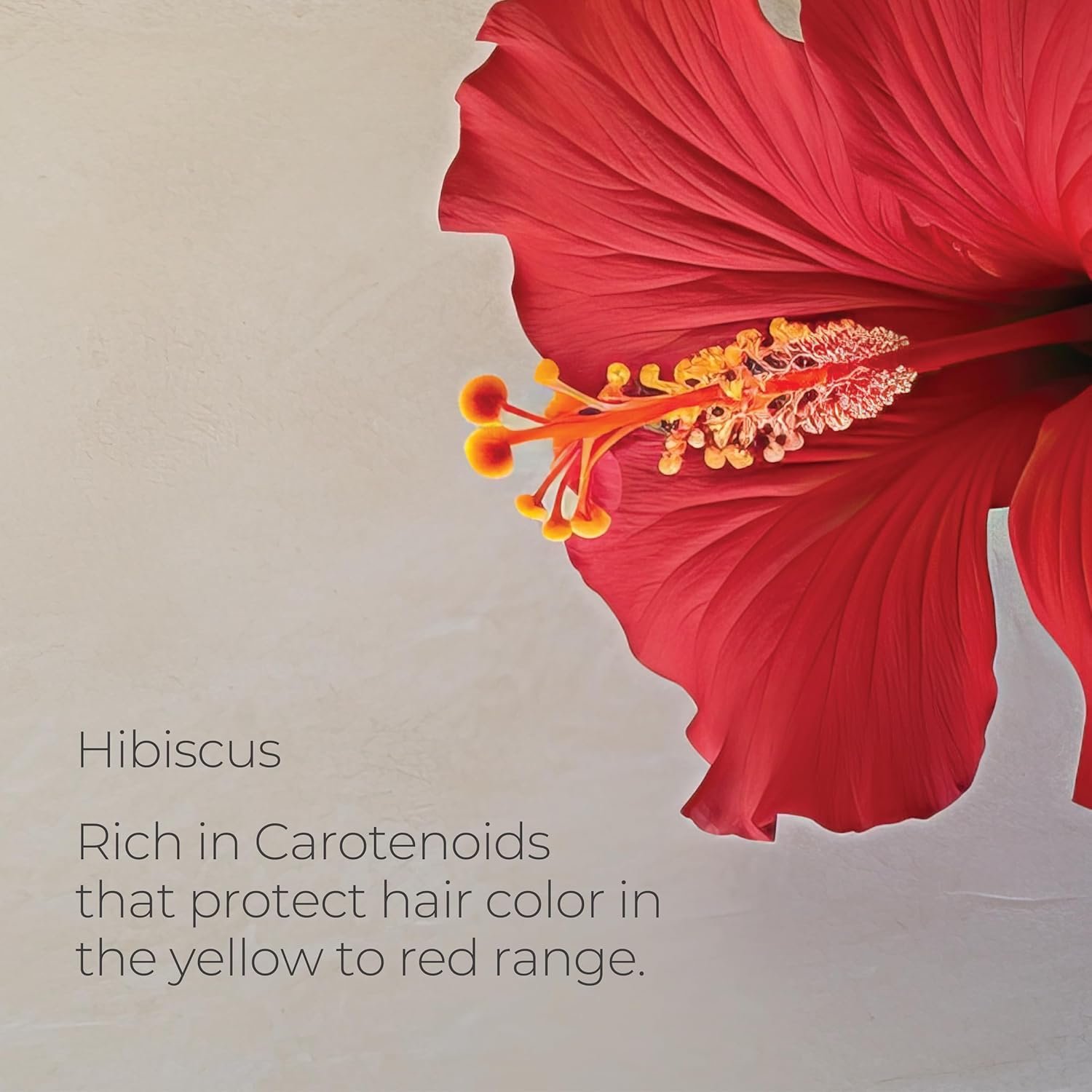 L'ANZA Healing ColorCare Trauma Treatment, Leave-In Conditioner for Dry Damaged Hair, Extends Color Longevity, For Healhty and Vibrant Color with Split End Repair & Shine, Luxury Hair Care - Image 7