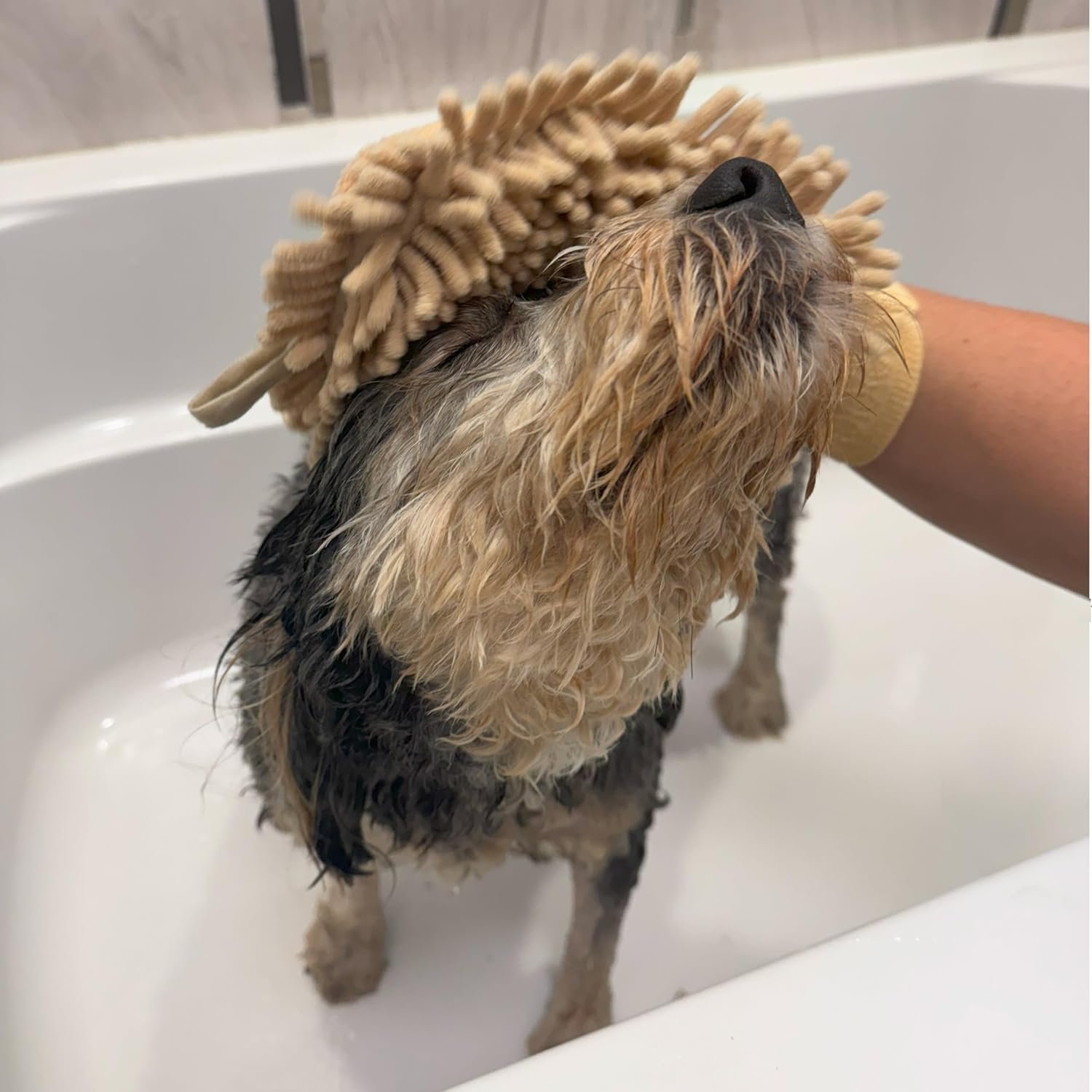 SPOT Clean Paws - Chenille Microfiber Dog Towel Mit - 9.5X7 Inches/Attractive, Durable, Super Absorbent, Washable. by Ethical Pets - Image 8