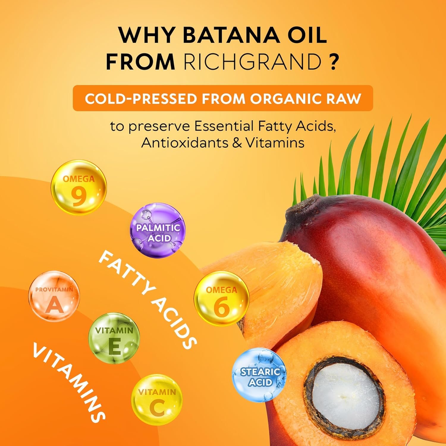 Batana Oil for Hair Growth - 100% Raw & Organic Cold-Pressed Batana Oil - Pure Unrefined Batana Hair Mask for Men & Women - Strengthens Hair, Prevents Loss, Repairs Split Ends - 5.3 Fl Oz - Image 6