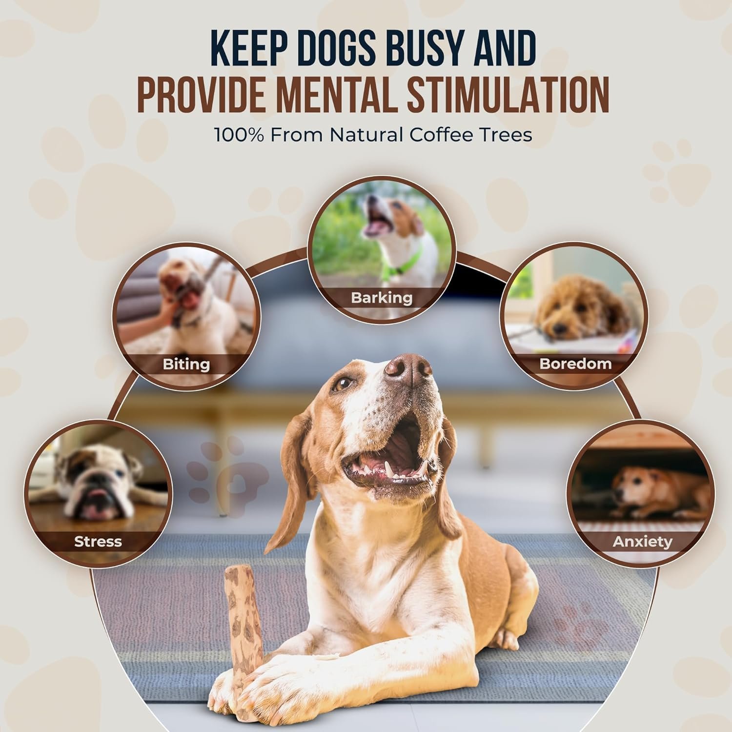 Coffee Wood Bones for Dogs - 100% Natural Toys - Dog Wood chew Stick for Extra Large Chewer Over 99 lbs - 2 Pack - Teeth Cleaning, Stress Relief - Organic Toy - Image 6