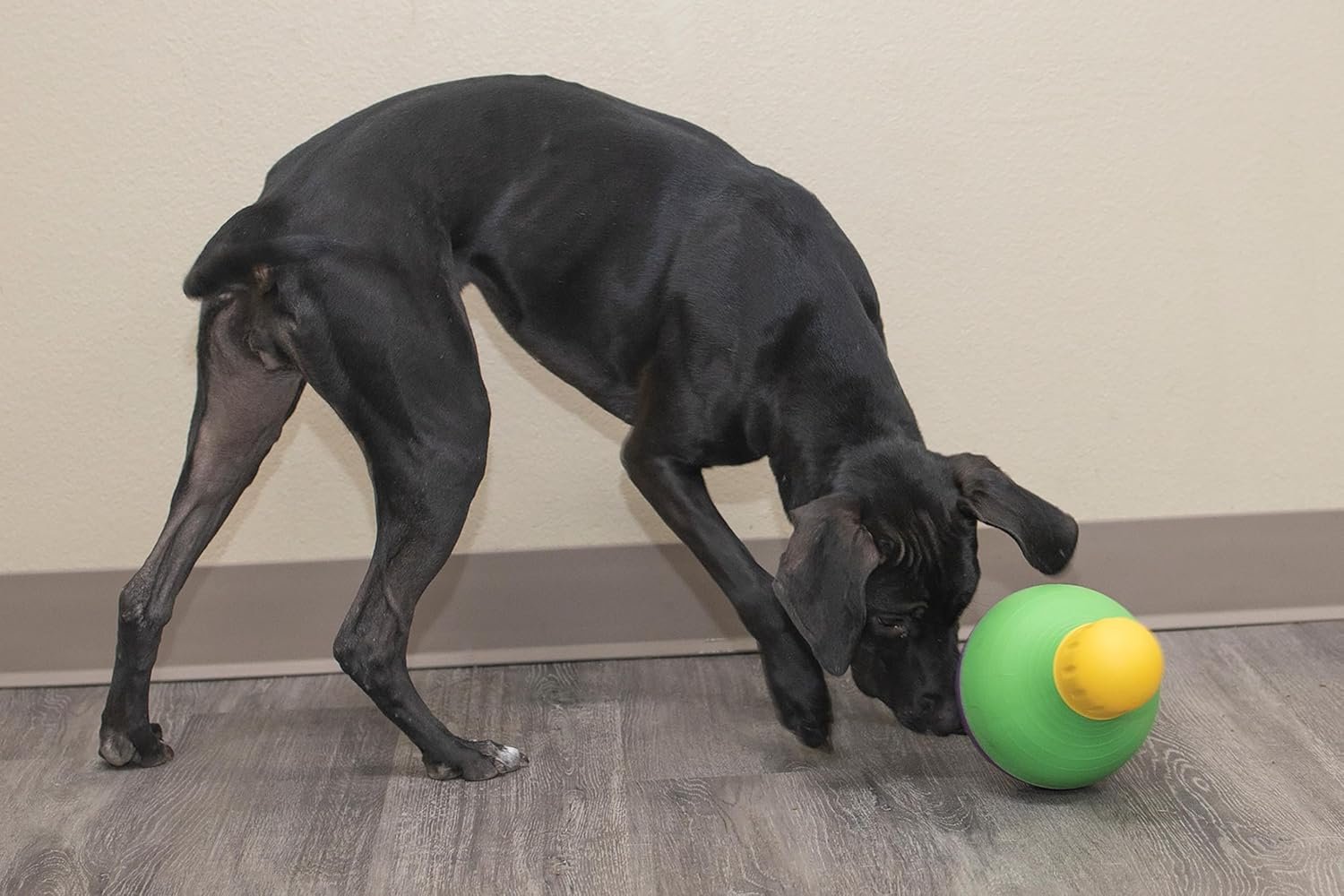 Starmark Bob-A-Lot Interactive Dog Pet Toy, Large, Yellow/Green/Purple - Image 9