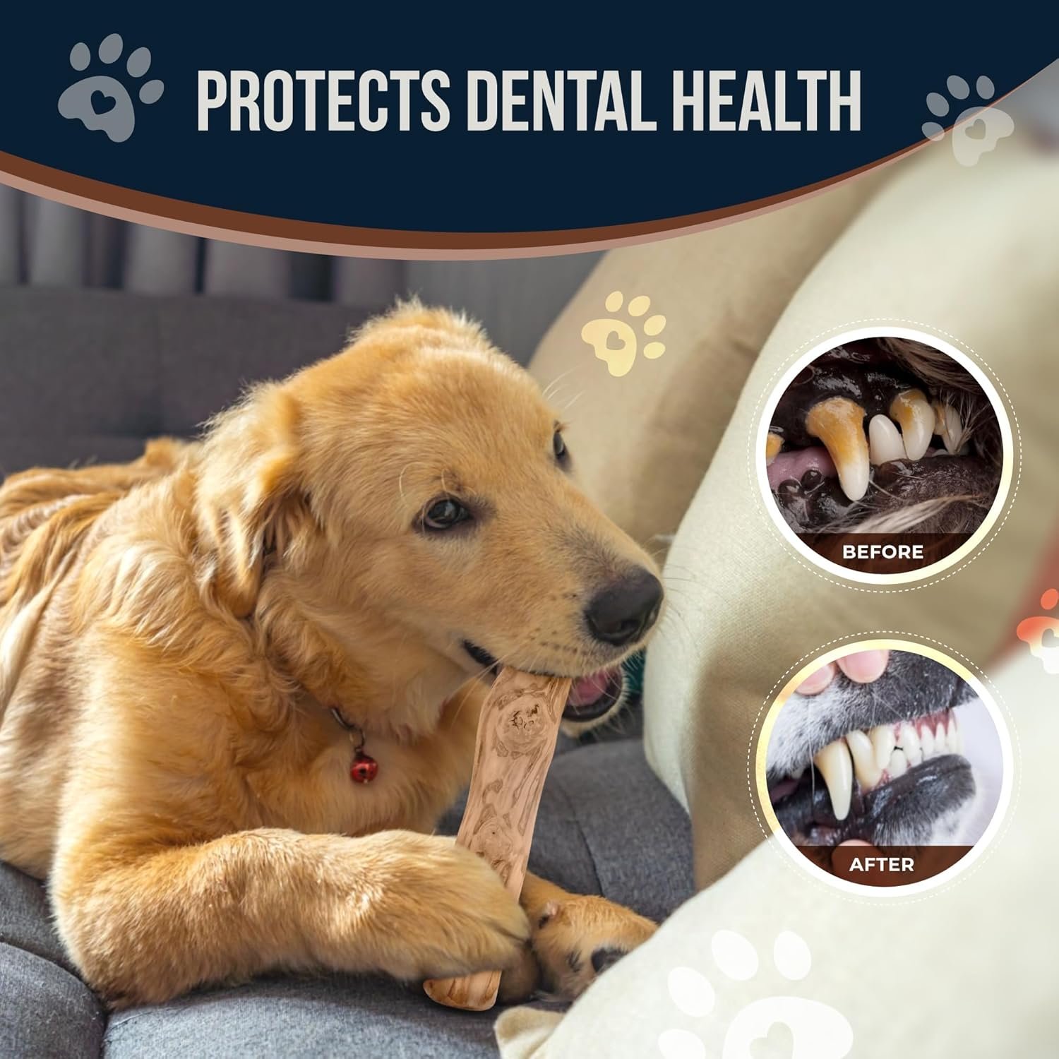 Coffee Wood Bones for Dogs - 100% Natural Toys - Dog Wood chew Stick for Extra Large Chewer Over 99 lbs - 2 Pack - Teeth Cleaning, Stress Relief - Organic Toy - Image 3