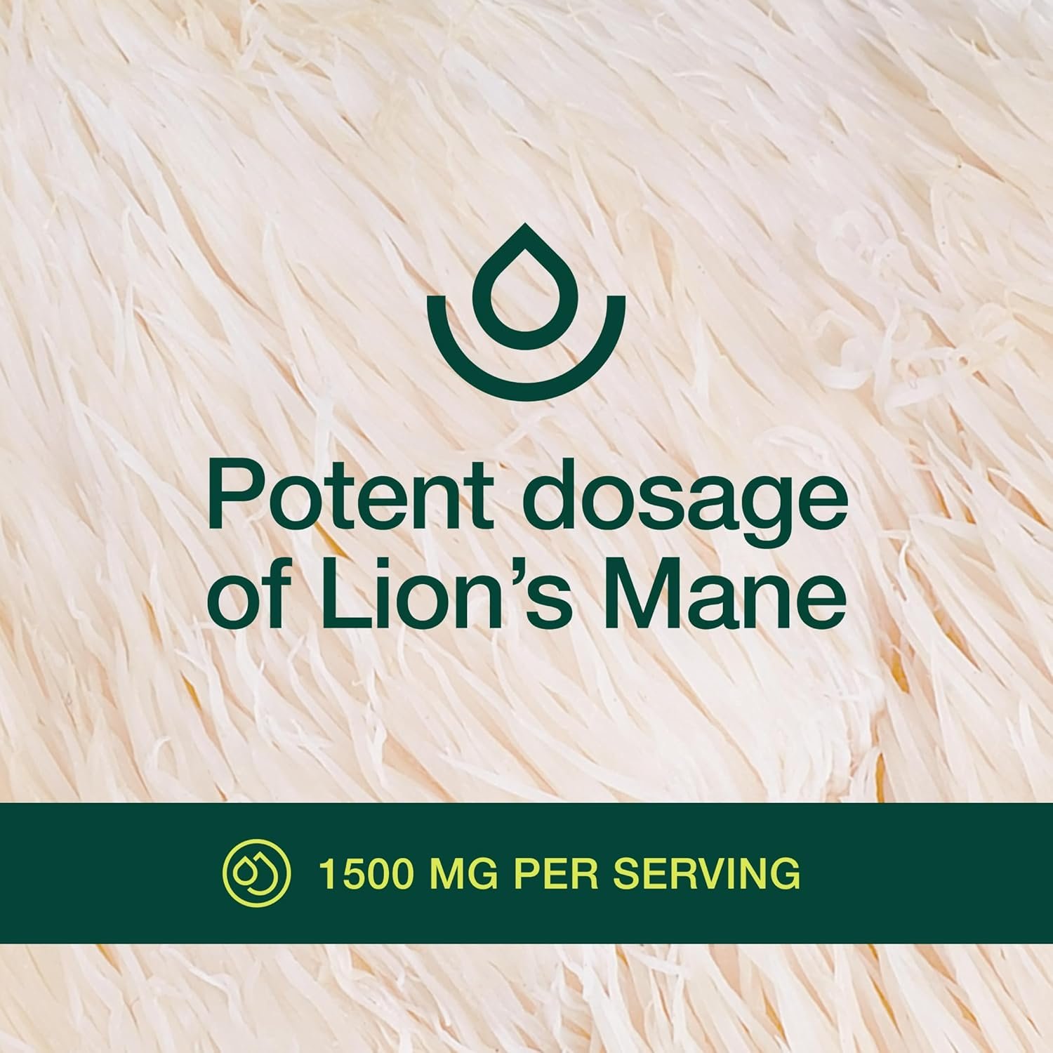 Fresh Nutrition Organic Lions Mane Mushroom Capsules - Strongest DNA Verified Formula - Rich in Alpha Glucan - Powerful Superfood Supplement - Brain, Immune System Benefits - Vegan Friendly - Image 6