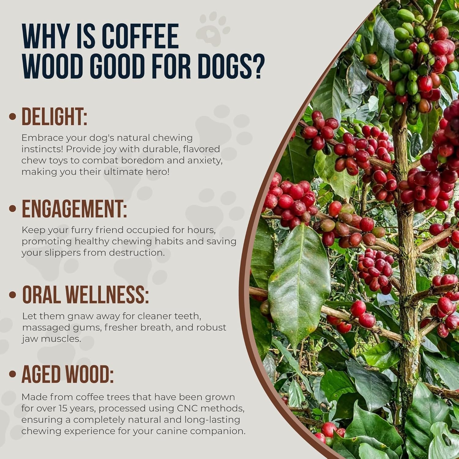 Coffee Wood Bones for Dogs - 100% Natural Toys - Dog Wood chew Stick for Extra Large Chewer Over 99 lbs - 2 Pack - Teeth Cleaning, Stress Relief - Organic Toy - Image 7