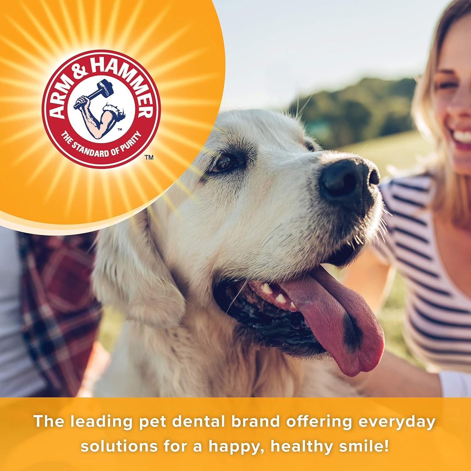 Arm & Hammer for Pets Dental Mints for Dogs, Fresh Breath | Get Fresh Doggie Breath Without Brushing, Way to Fresher Dog Breath | Chicken Flavor, 40 Count (Packaging may vary) - Image 5