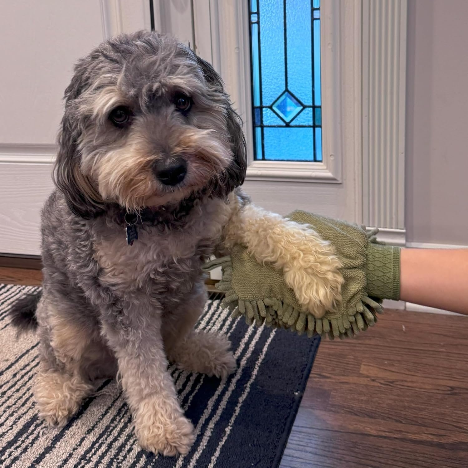 SPOT Clean Paws - Chenille Microfiber Dog Towel Mit - 9.5X7 Inches/Attractive, Durable, Super Absorbent, Washable. by Ethical Pets - Image 4