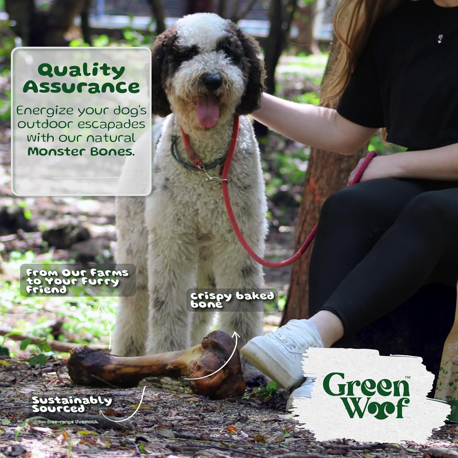 Monster Jumbo Dog Bone, Large Dog Bone Treat - Dental Health-Enhancing Chew - Single-Source, 100% Grass-Fed Beef Femur Bone for Canines - Image 6