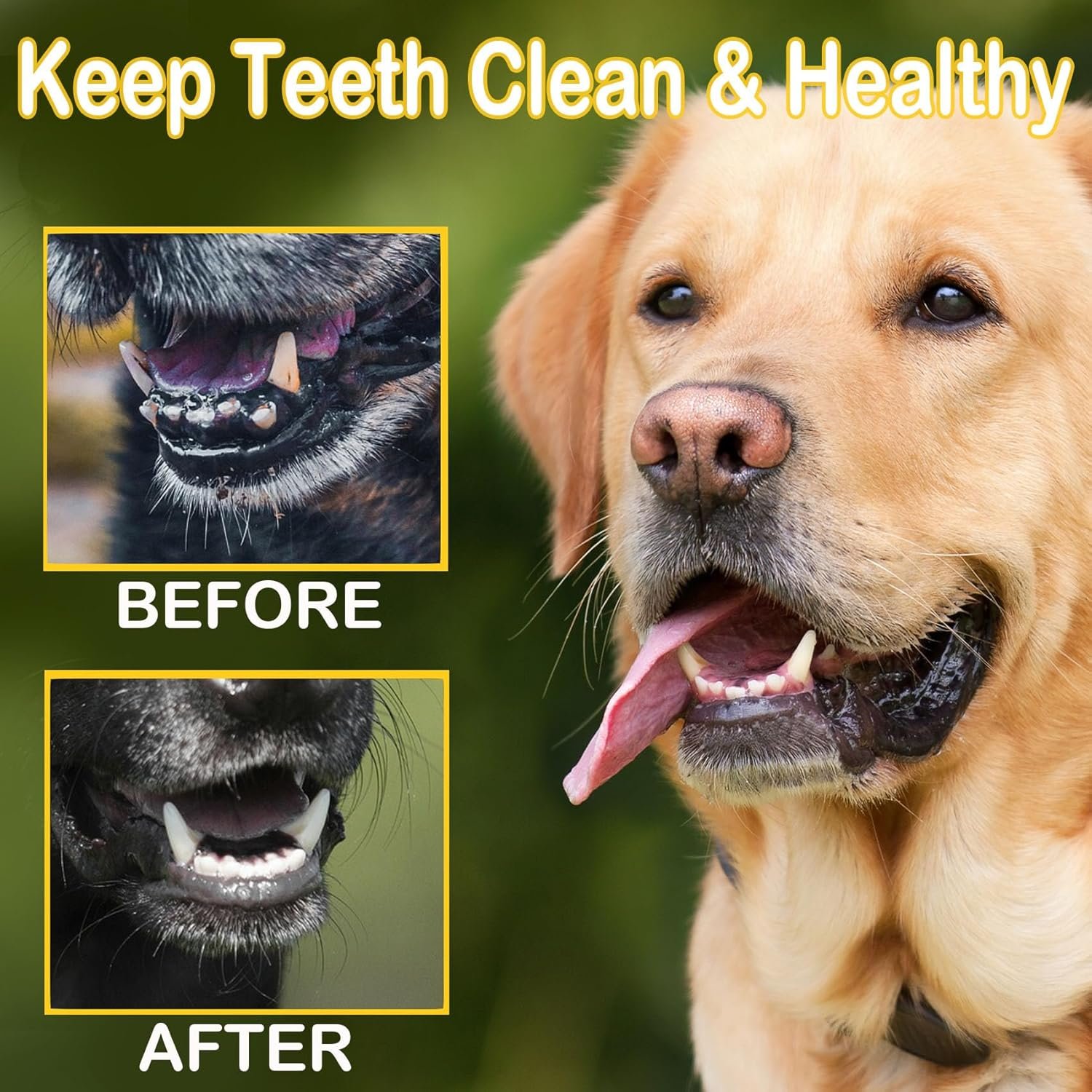 50pcs Pet Teeth Cleaning Finger Wipes for Dogs - Dog Dental Care Finger Wipes - Remove Plaque and Clean Teeth to Freshen Breath - Dog Teeth Cleaning - Image 6