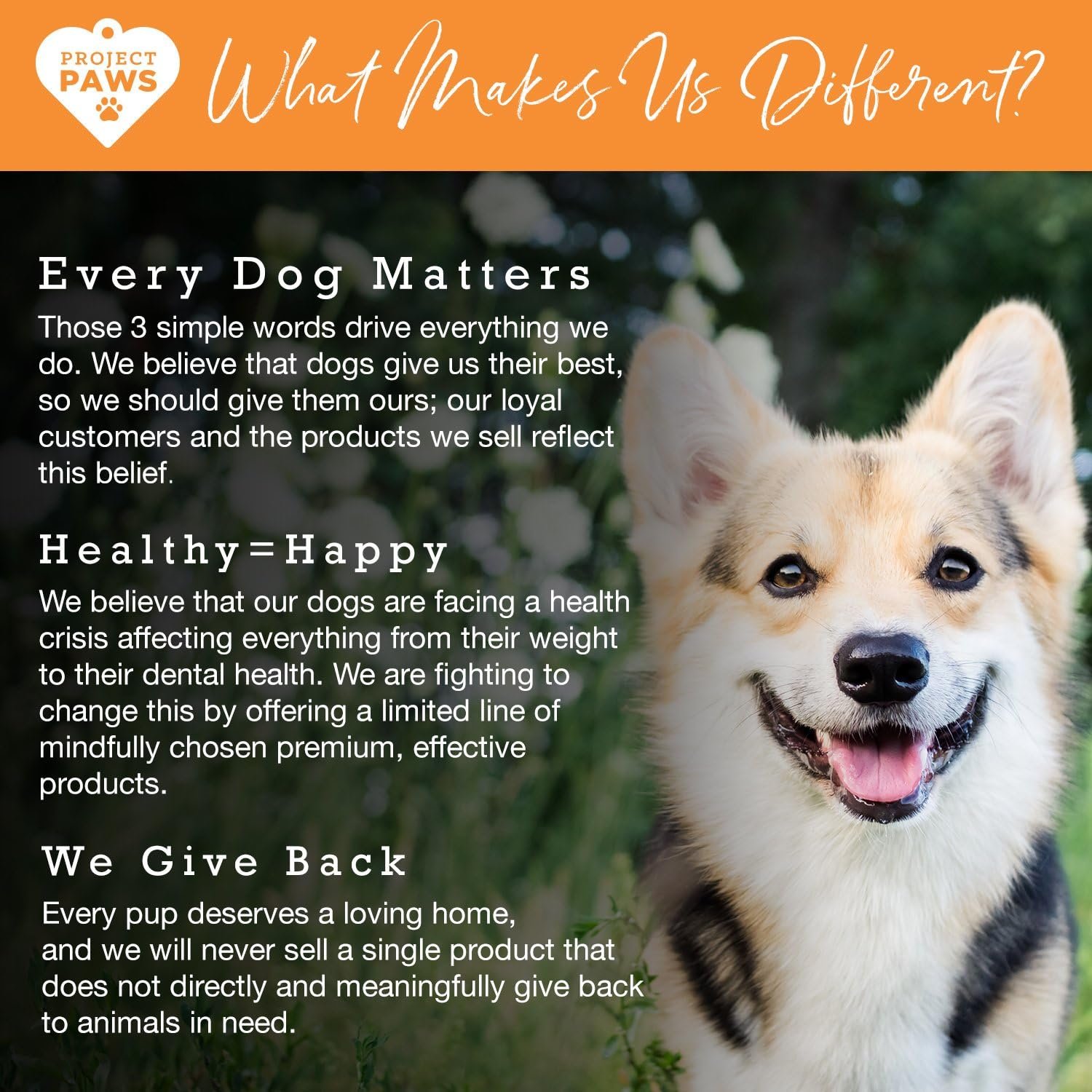 Project Paws Omega 3-6-9 Select Fish Oil for Dogs - Krill Oil Skin and Coat Supplement - 60 Count - Image 6