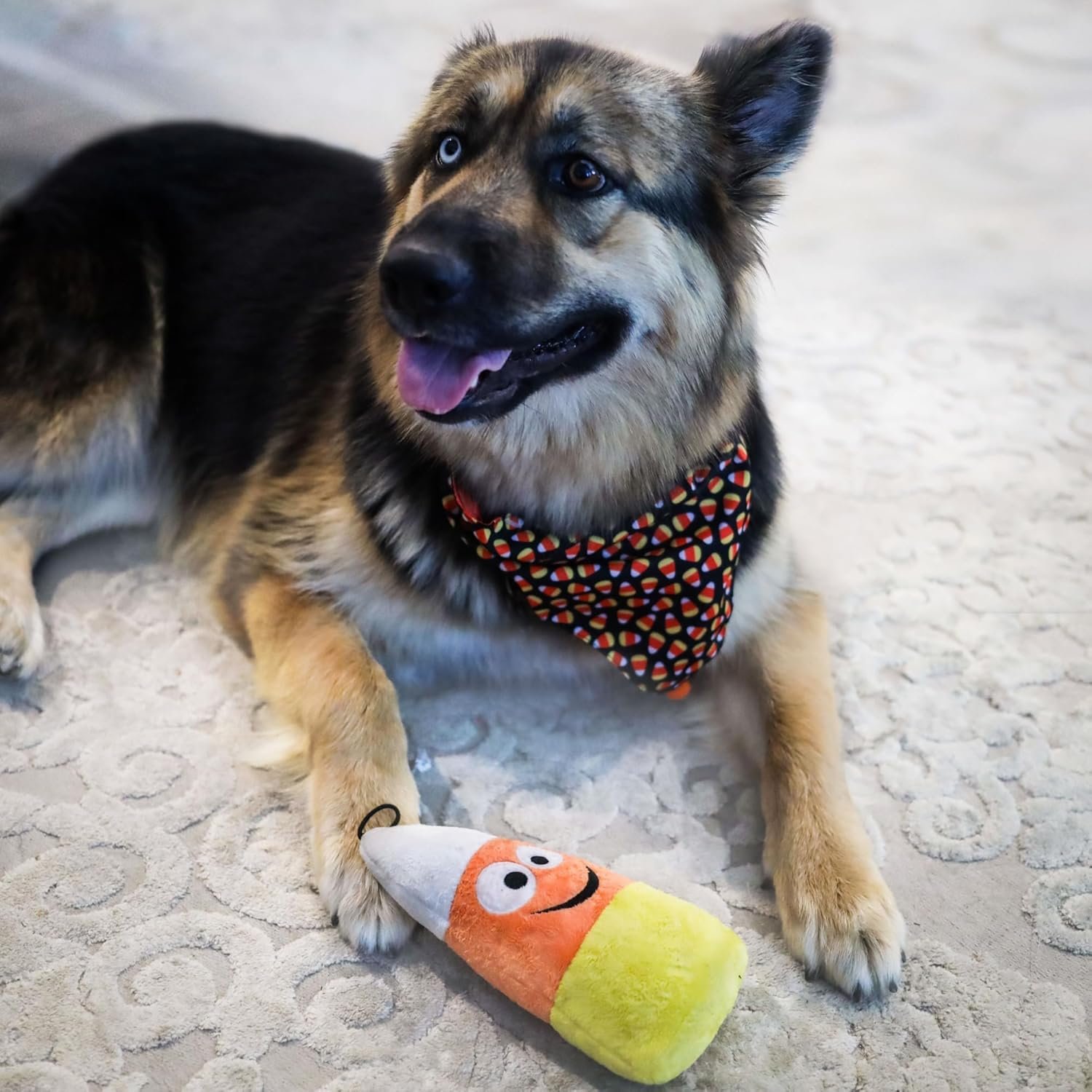 Huxley & Kent for Dogs | Kookie Korn | Halloween Power Plush Dog Toy with Squeaker | Funny Dog Toy Gift | Fun, Durable, and Safe | H&K Squeaky Dog Toys - Image 5