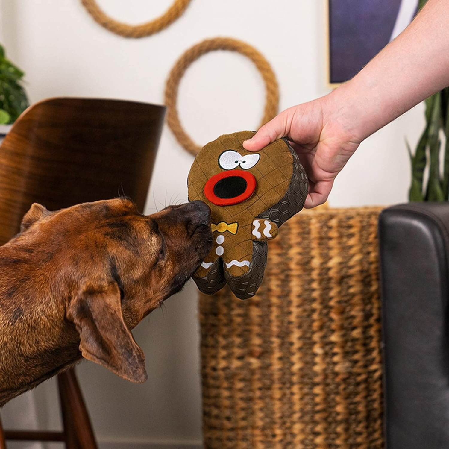 goDog Holiday Collection Mixed Materials TPE-Plush Gingerbread Man Squeaky Dog Toy, Chew Guard Technology - Brown, One Size - Image 4