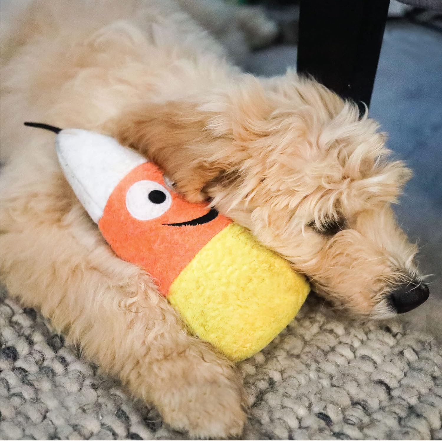 Huxley & Kent for Dogs | Kookie Korn | Halloween Power Plush Dog Toy with Squeaker | Funny Dog Toy Gift | Fun, Durable, and Safe | H&K Squeaky Dog Toys - Image 6