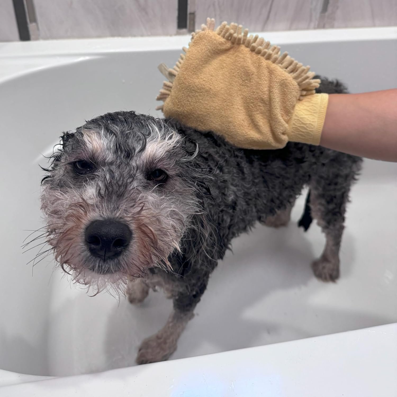 SPOT Clean Paws - Chenille Microfiber Dog Towel Mit - 9.5X7 Inches/Attractive, Durable, Super Absorbent, Washable. by Ethical Pets - Image 14