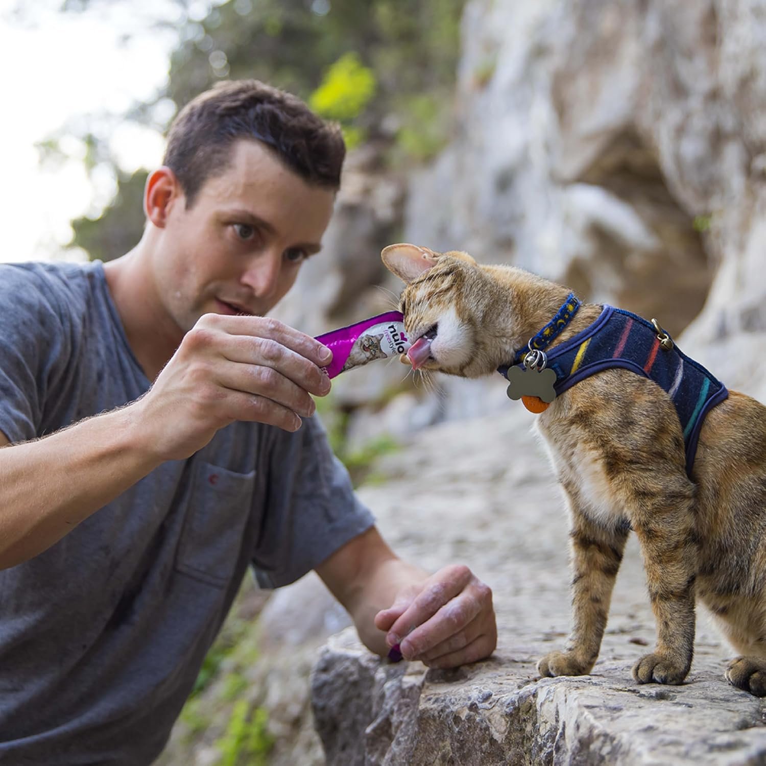 Nulo Freestyle Grain-Free Perfect Purees Premium Wet Cat Treats, Squeezable Meal Topper for Felines, High Moisture Content to Support Cat Hydration, 0.5 Ounce, 40-Count Variety Pack - Image 11