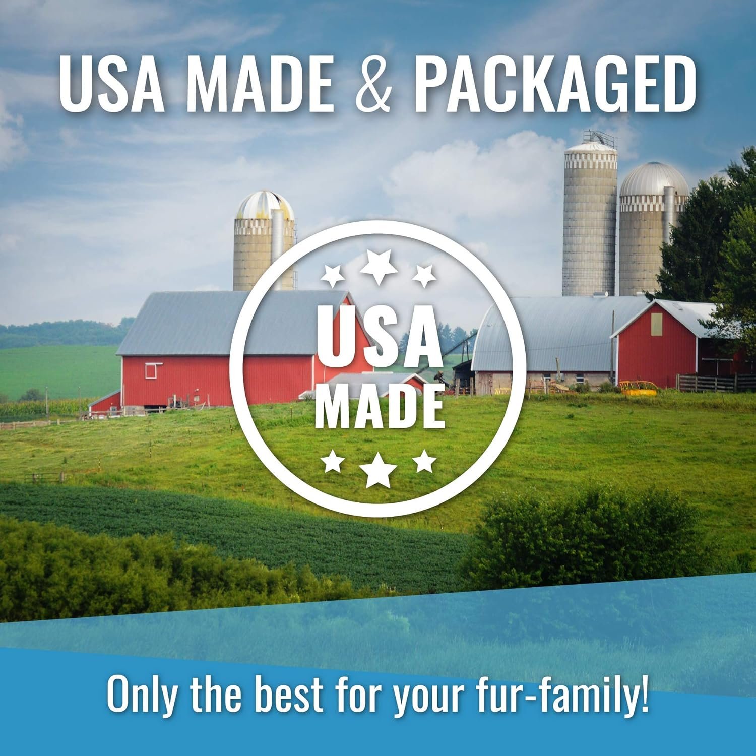 Vital Essentials Freeze Dried Dog Food, Beef Dinner Patties 14 oz - Image 6