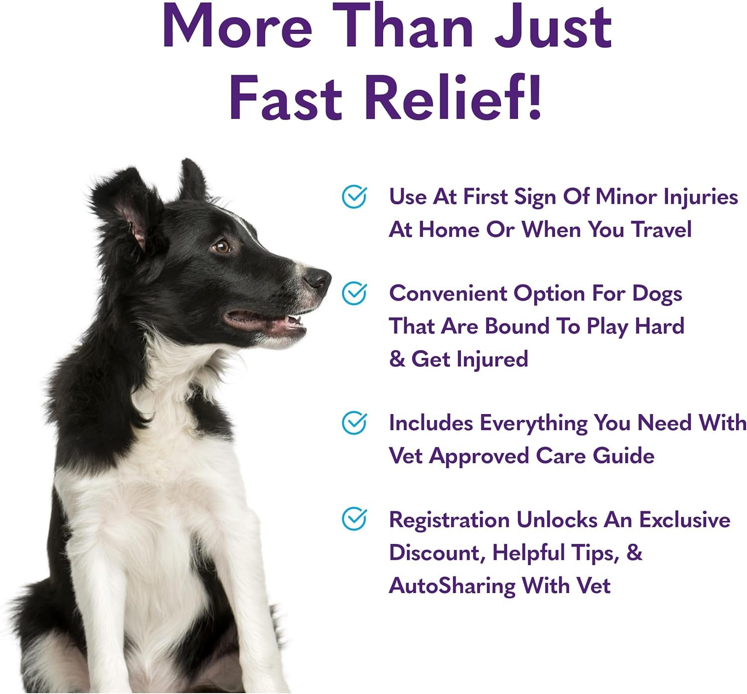 MySimplePetLab Dog First Aid Kit | First Aid Dog Travel Accessories | Dog Medical Kit | Dog Essentials Mini First Aid for Wounds, Cuts, or Minor Injuries - Image 7