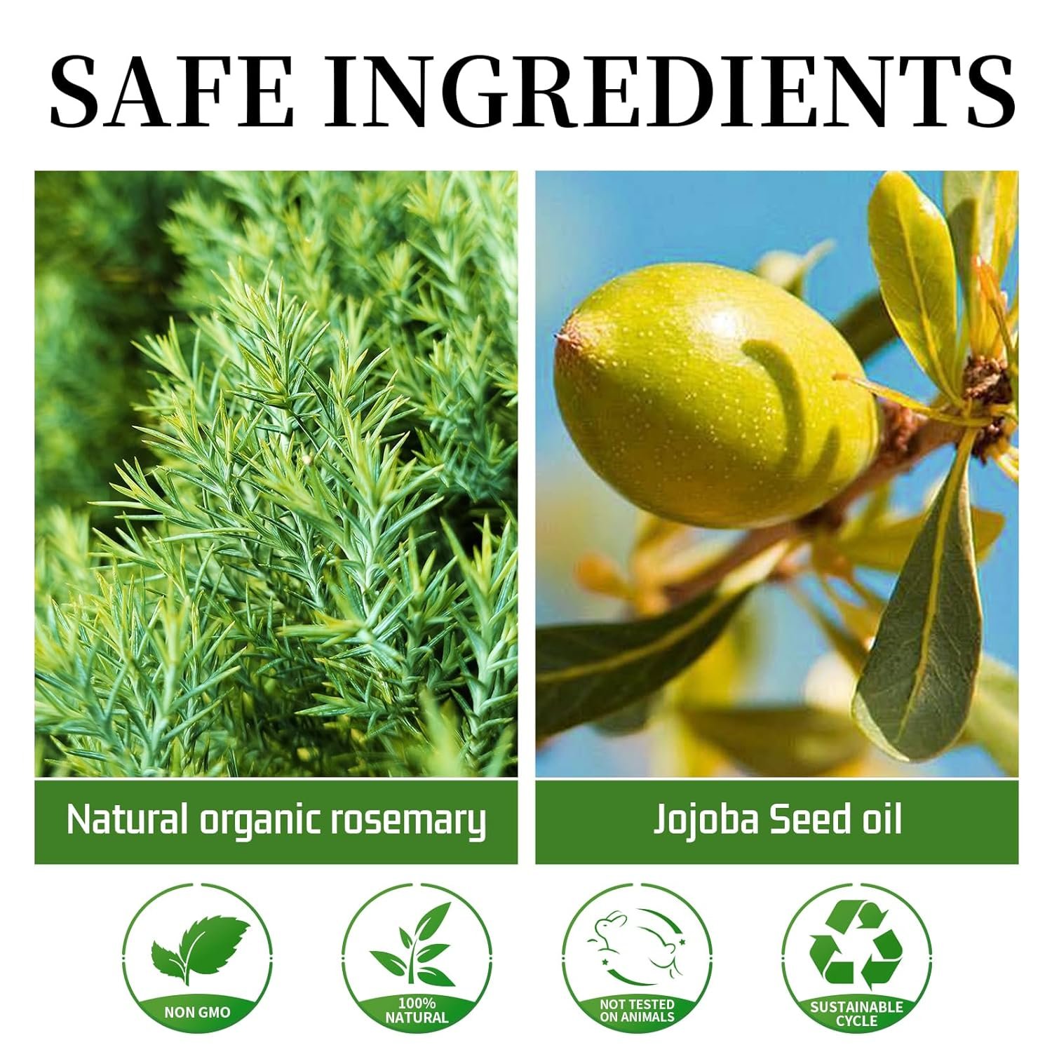 Rosemary Essential Oil 3-Piece Gift Set: Pure Organic Growth Treatment, Water Spray for Dry Scalp and Hair Loss - Image 6