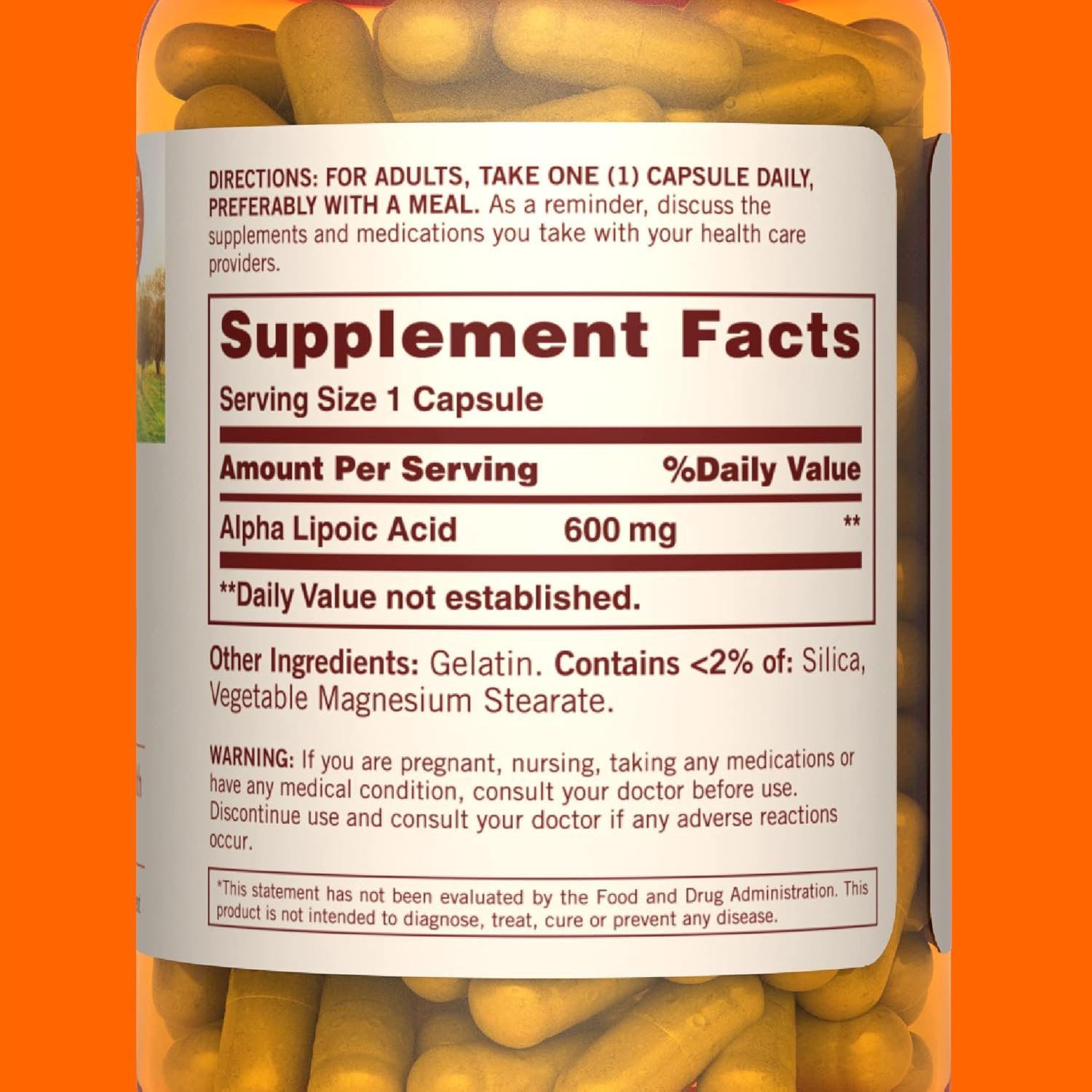 Sundown Alpha Lipoic Acid 600mg, Supports Antioxidant Health, Dietary Supplement, 60 Capsules - Image 4