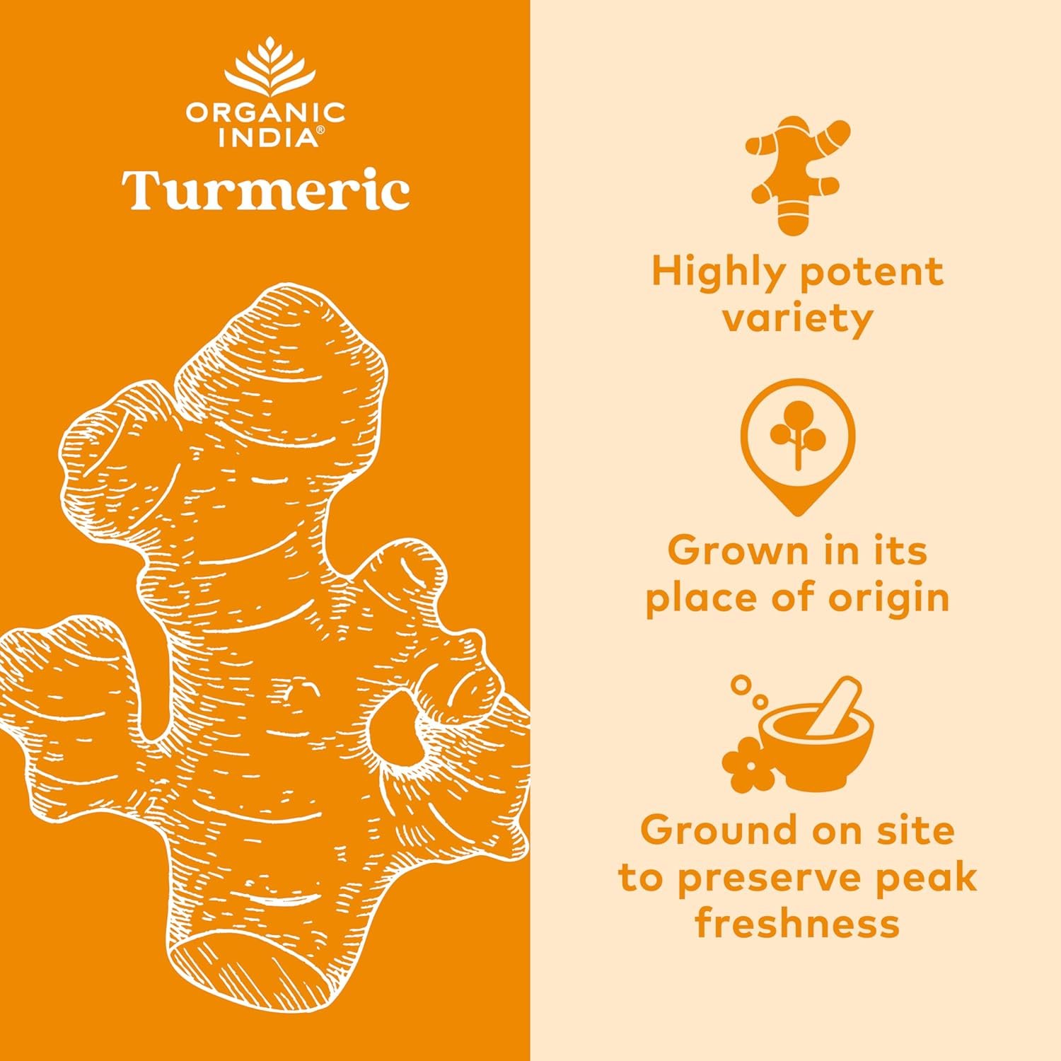 ORGANIC INDIA Turmeric Curcumin with Black Pepper - Organic Turmeric Supplement and Curcumin Supplement, Turmeric Capsules, Joint Support & Immune System Support, Whole Root, Trikatu - 180 Capsules - Image 3