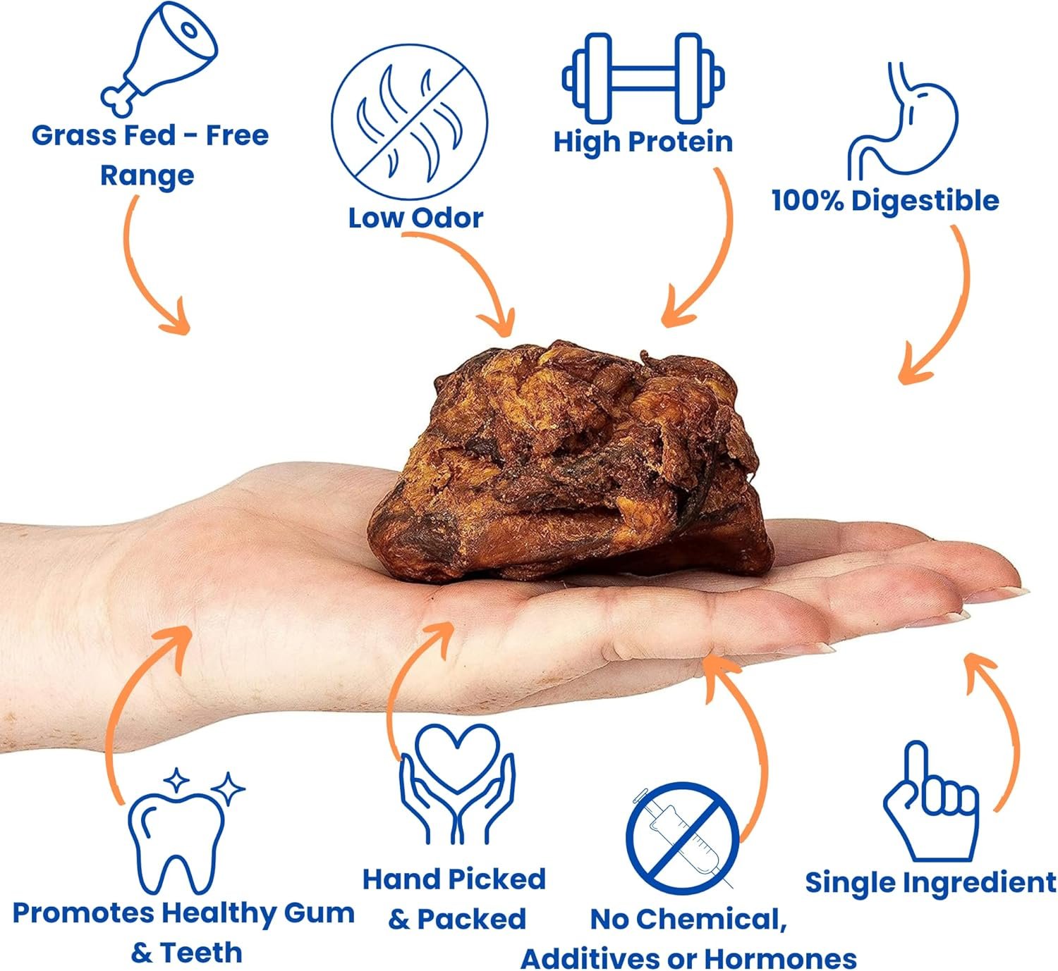 USA Cow Knee Caps for Dogs | 100% Natural Beef Knee Caps for Dogs, Beef Bones for Dogs, Dog Knee Cap Bones for Pets, Meaty Dog Bones Large, Medium and Small Dogs - Image 3