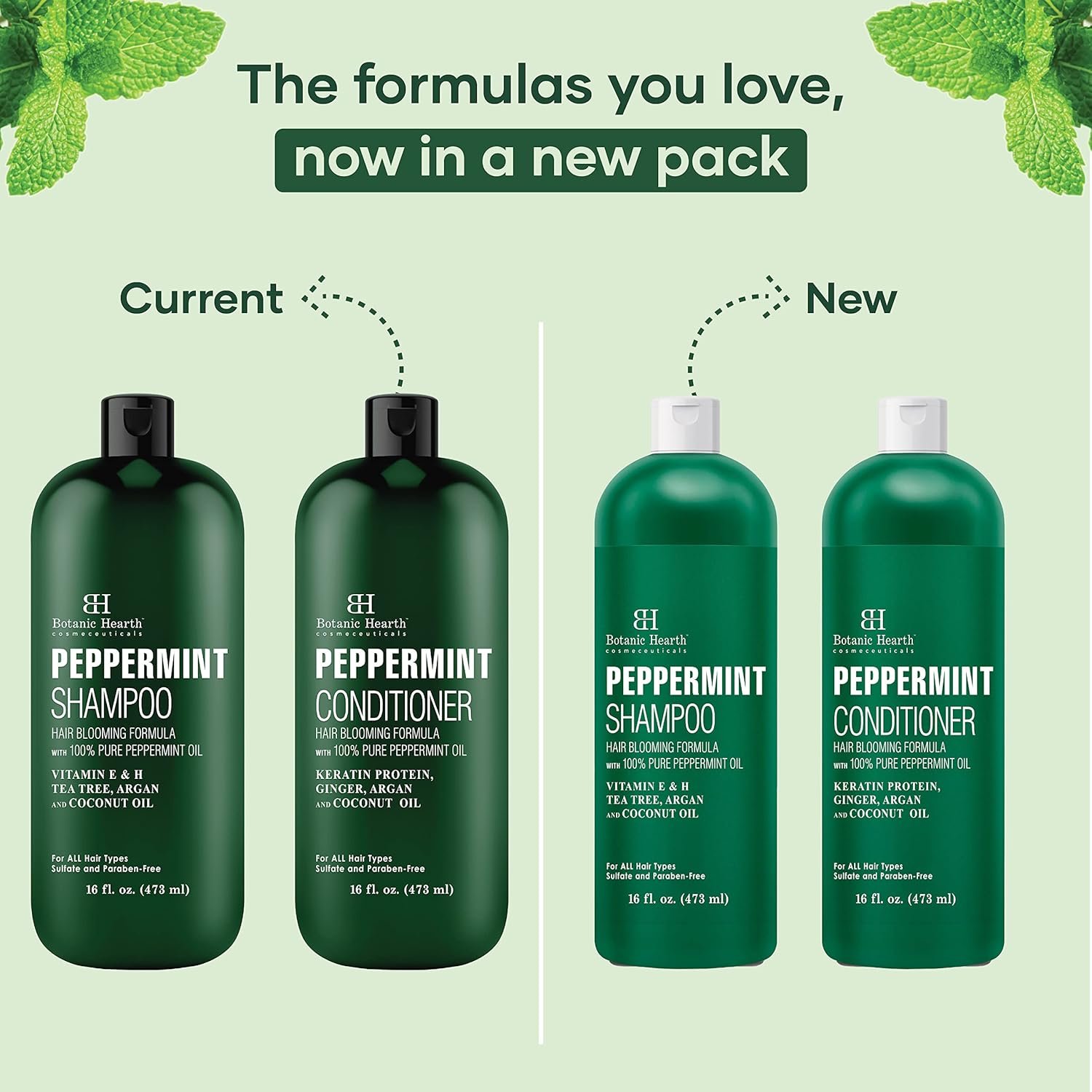 BOTANIC HEARTH Peppermint Oil Shampoo and Conditioner Set - Hair Blooming Formula with Keratin - Fights Hair Loss & Thinning, Promotes Hair Growth-Sulfate Free for Men and Women - 16 fl oz x 2 - Image 9