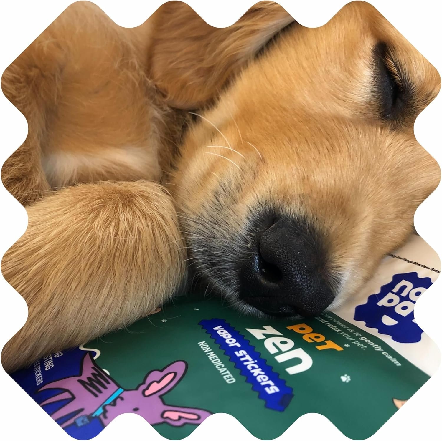 NATPAT Pet Zen Calming Patches for Dogs & Cats – Non-Medicated Effective Stress Relief for Travel, Fireworks & Separation Anxiety - Long Lasting & Non-Toxic (28 Patches) - Locket Sold separetely - Image 4