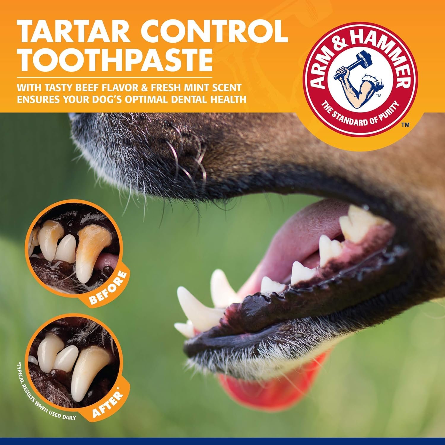 Arm & Hammer for Pets Tartar Control Kit for Dogs | Contains Toothpaste, Toothbrush & Fingerbrush | Reduces Plaque & Tartar Buildup | Safe for Puppies, 3-Piece , Beef Flavor - Image 6