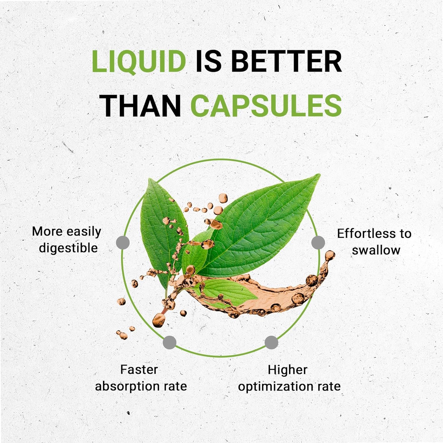 Secrets of the Tribe Rosemary Alcohol-Free Liquid Extract, Rosemary (Rosmarinus Officinalis) Dried Leaf Tincture Supplement (2 FL OZ) - Image 3