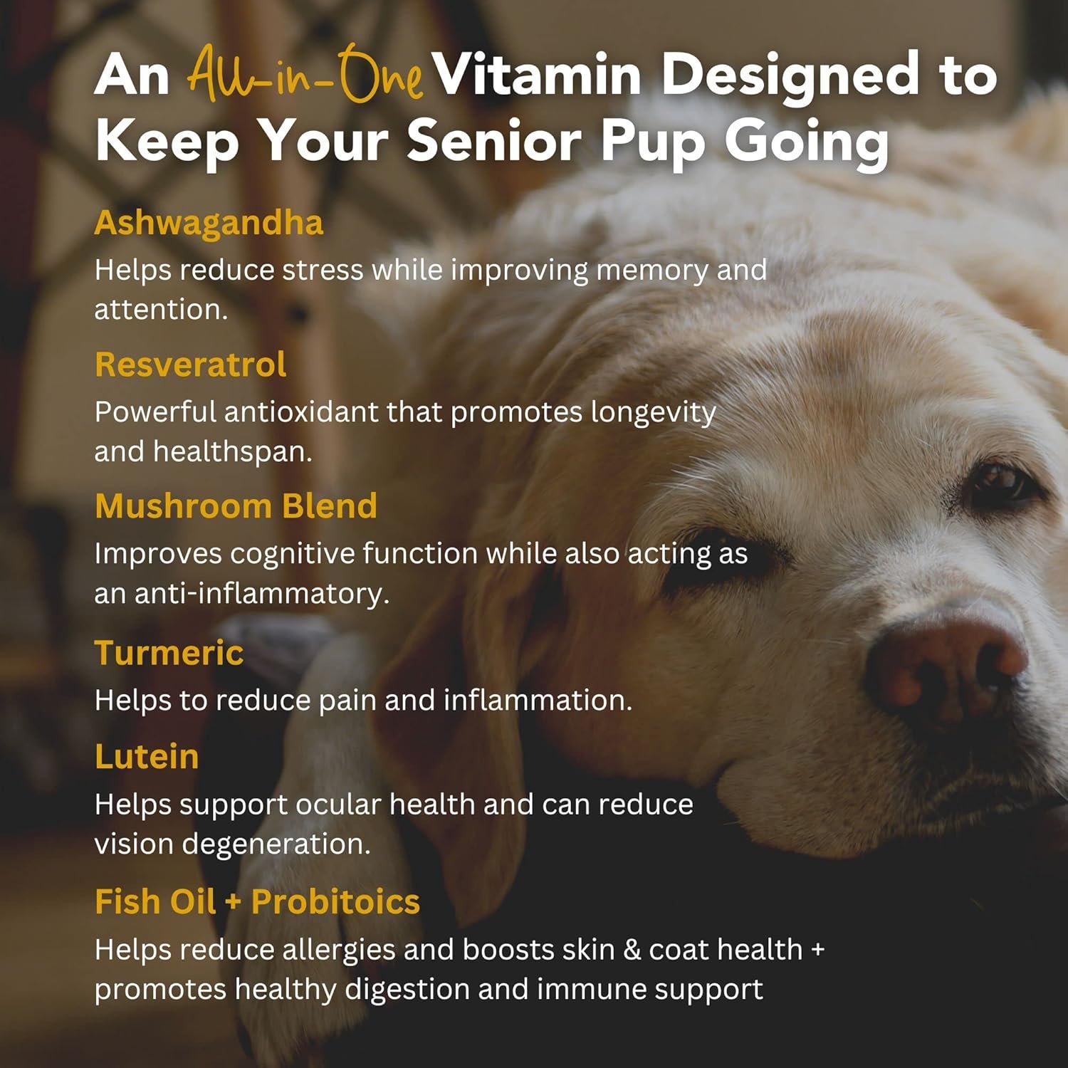iHeartDogs Senior Super 7 Daily Dog Multivitamin - 7-in-1 Vitamin for Dogs Supports Anti-Aging with Antioxidants, Probiotics, Lion's Mane, Turkey Tail, & Ashwagandha for Longevity & Cognitive Boost - Image 5