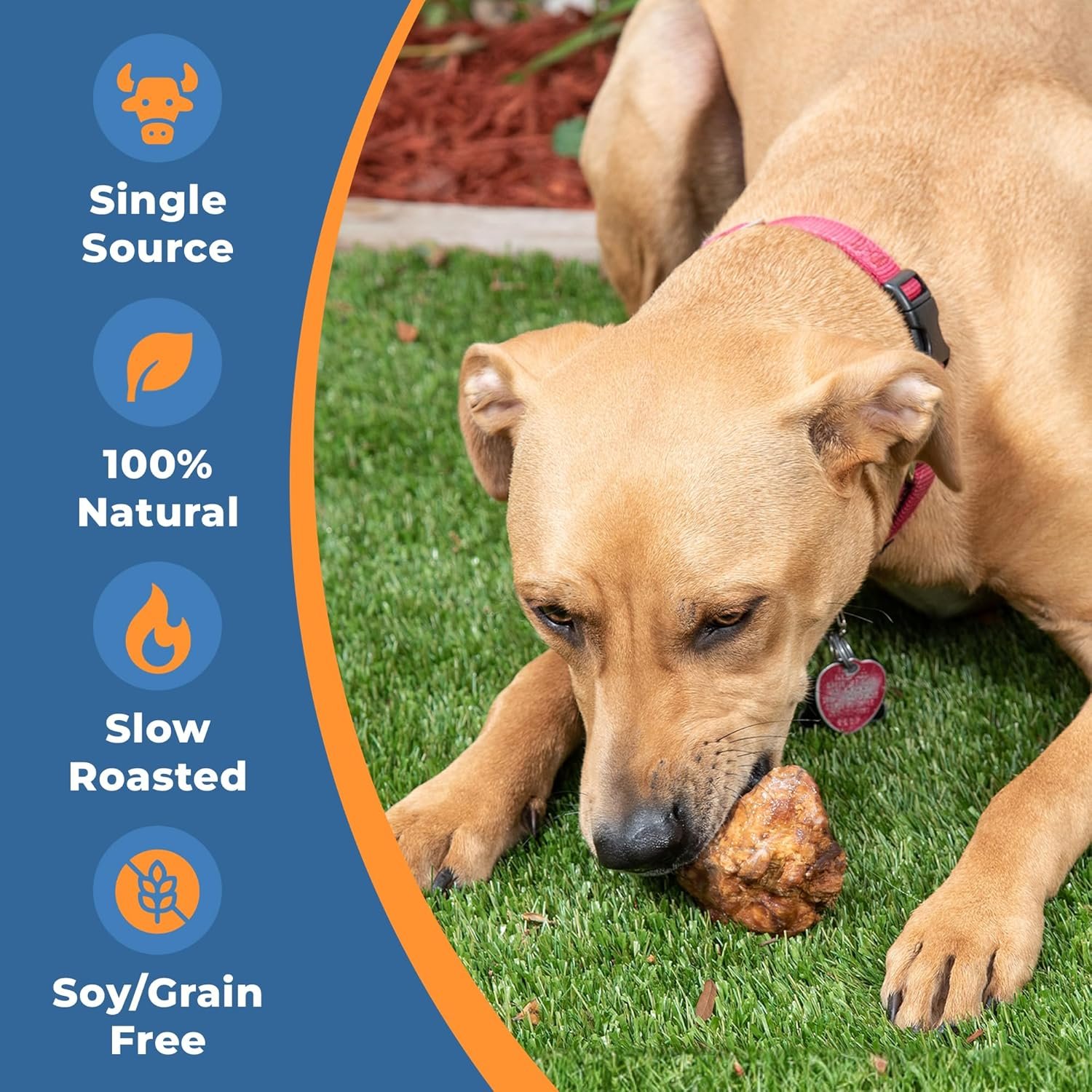 USA Cow Knee Caps for Dogs | 100% Natural Beef Knee Caps for Dogs, Beef Bones for Dogs, Dog Knee Cap Bones for Pets, Meaty Dog Bones Large, Medium and Small Dogs - Image 6