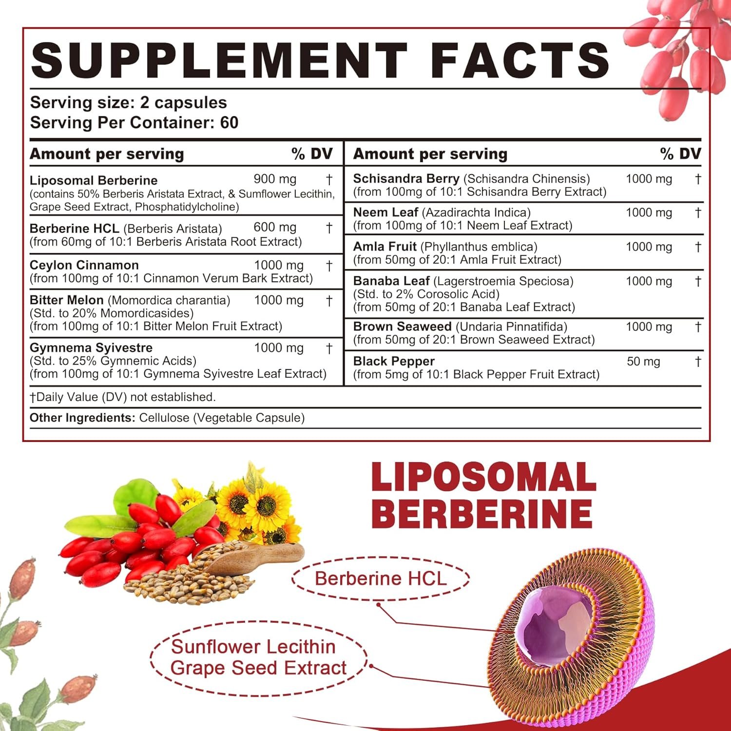2 Pack 1500mg Liposomal Berberine & Berberine HCL with Ceylon Cinnamon Bitter Melon, Organic Berberine Complex Supplements with Banana Leaf, Supports Immune & Digestion - Vegan Berberine 240 Capsules - Image 3