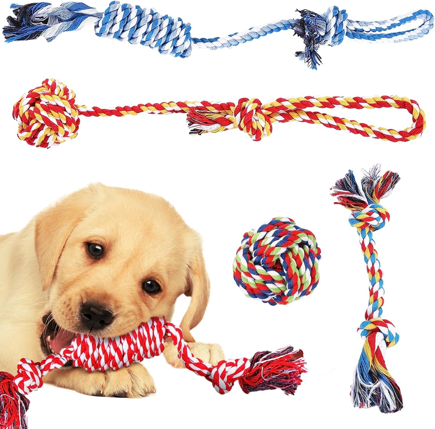 SunGrow, 5-Pack Ferret Rope Chew Teething Toys, Puppy Chew Toys & Accessories for Cage, Machine-Washable Durable Cotton Knotted Rope Dog Tug Toys for Small to Medium Breeds, 3” - 19” - Image 3