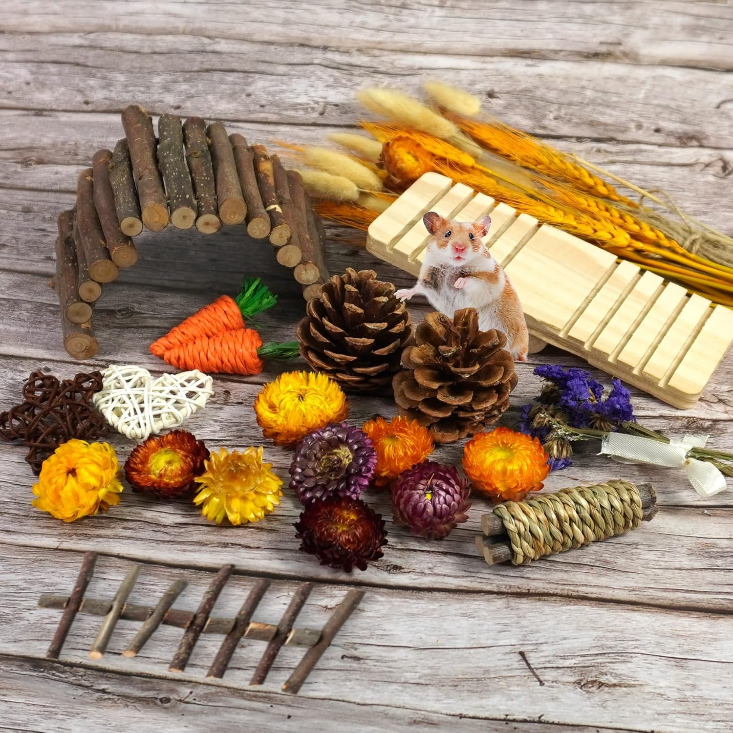 MOMOONNON Hamster Chew Toys Set Natural Wooden Hamster Toys Coconut Hamster House Artificial Plant Dried Flowers Teeth Small Animal Toys Cage Landscaping for Chinchillas Guinea Pigs Pet Mice - Image 4