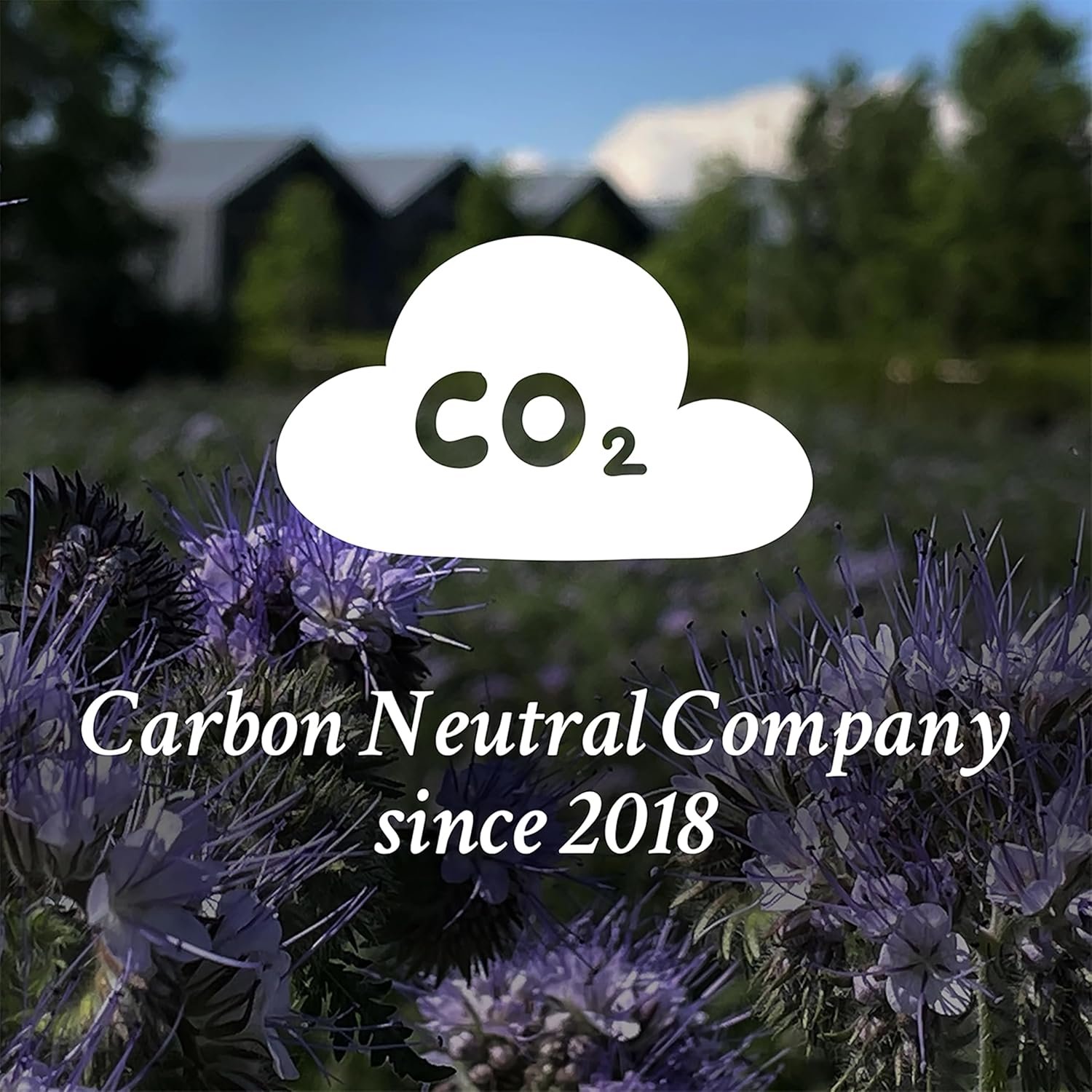 Davines VOLU Shampoo, Volume Shampoo For Fine, Thin Hair Types, Gentle Everyday Volumizing - Image 11